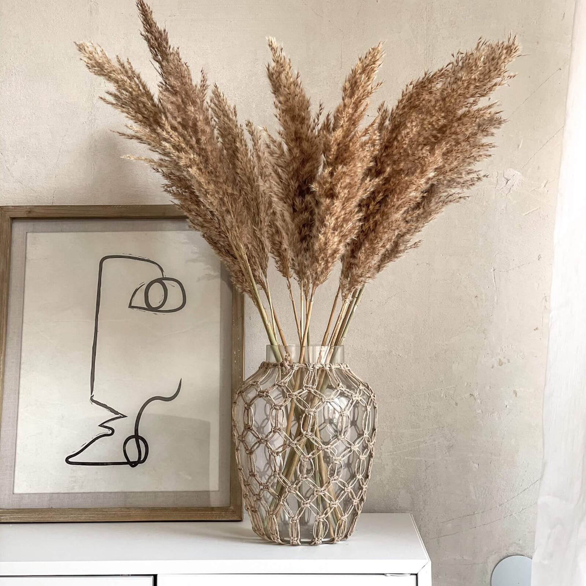 Pampasgras Pflege: 6 Tipps fuer langlebige Trockenblumen