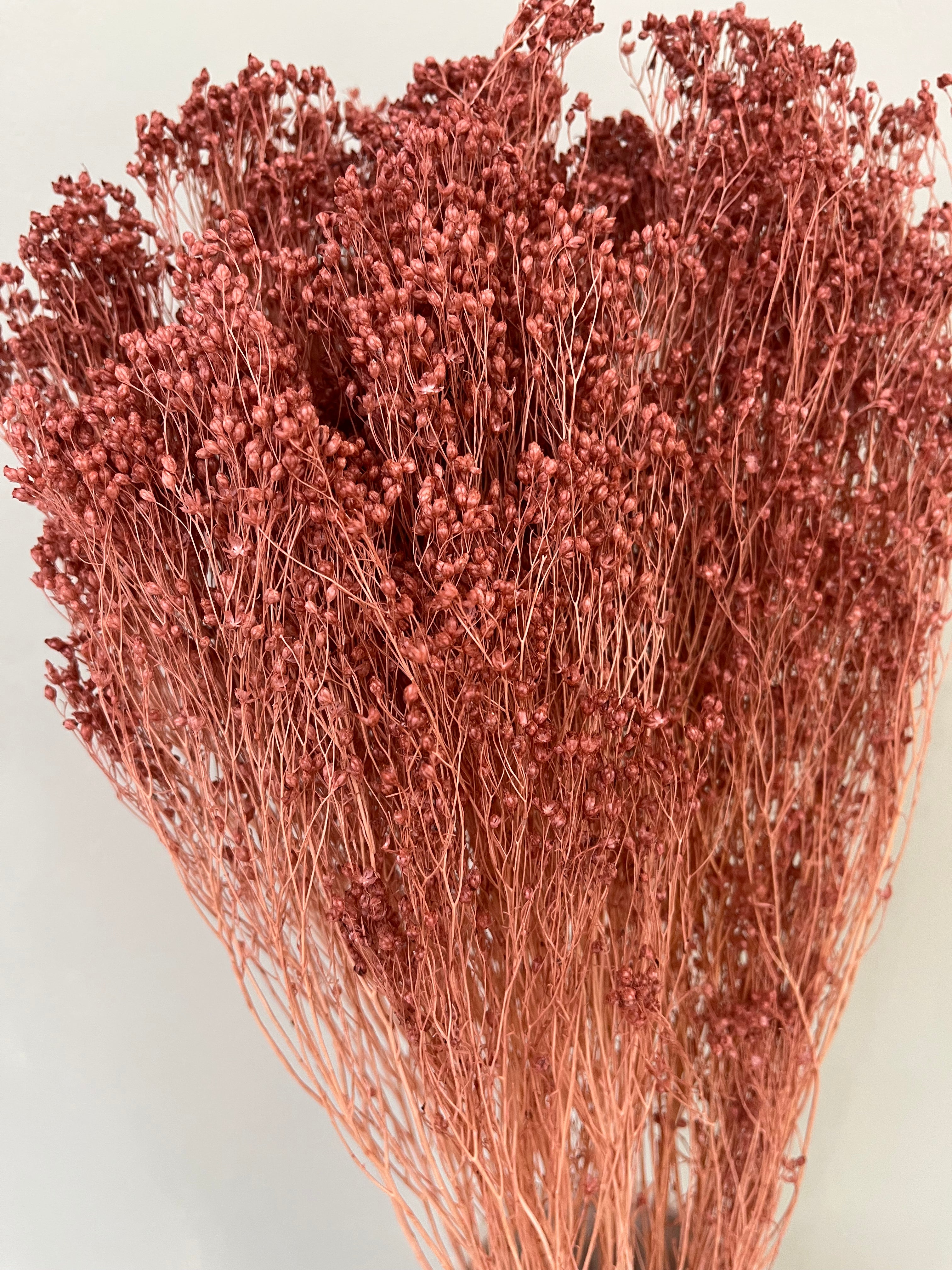 Broom Bloom - ein Bund - Lykke&You GmbH