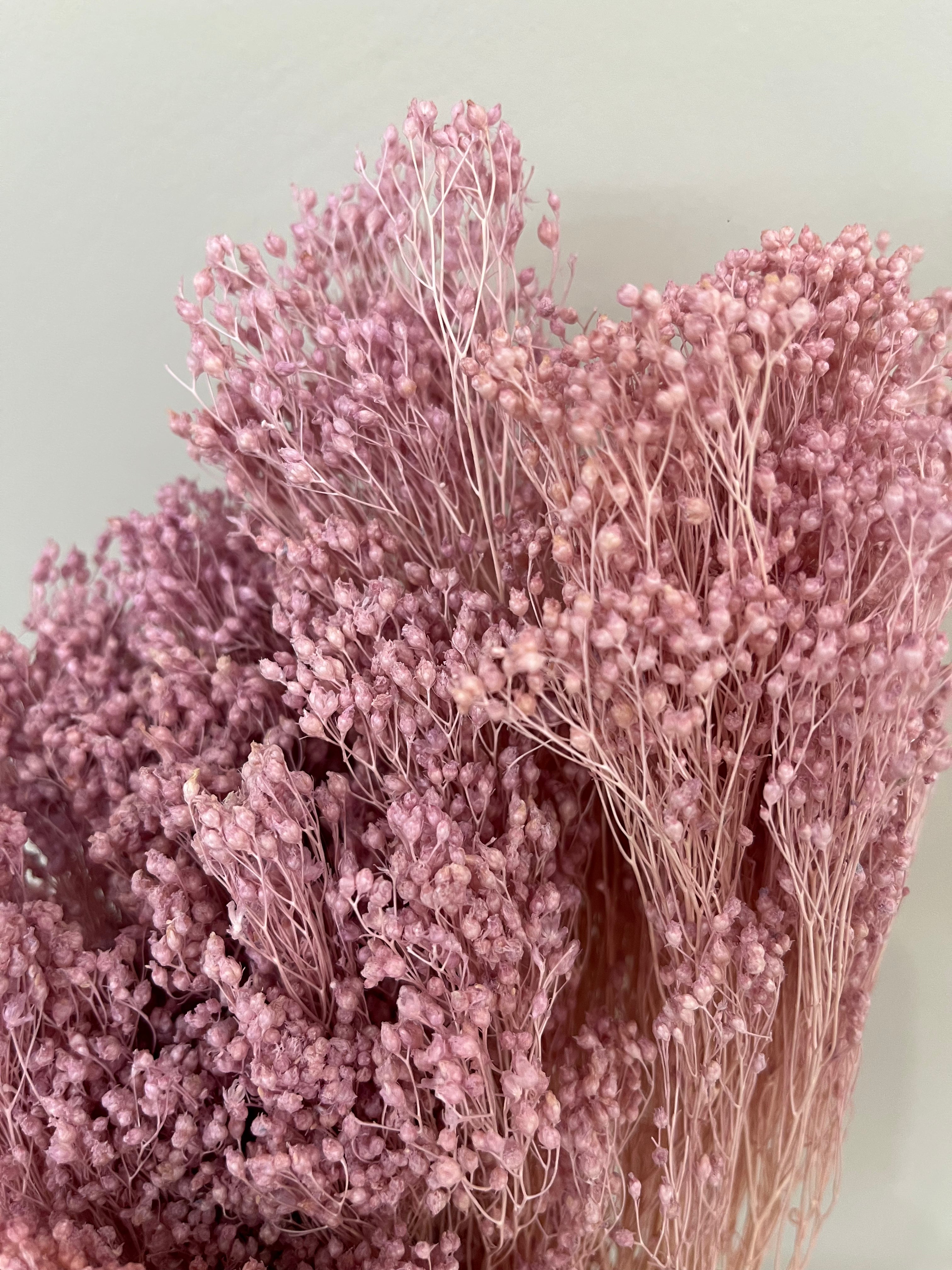 Broom Bloom - ein Bund - Lykke&You GmbH