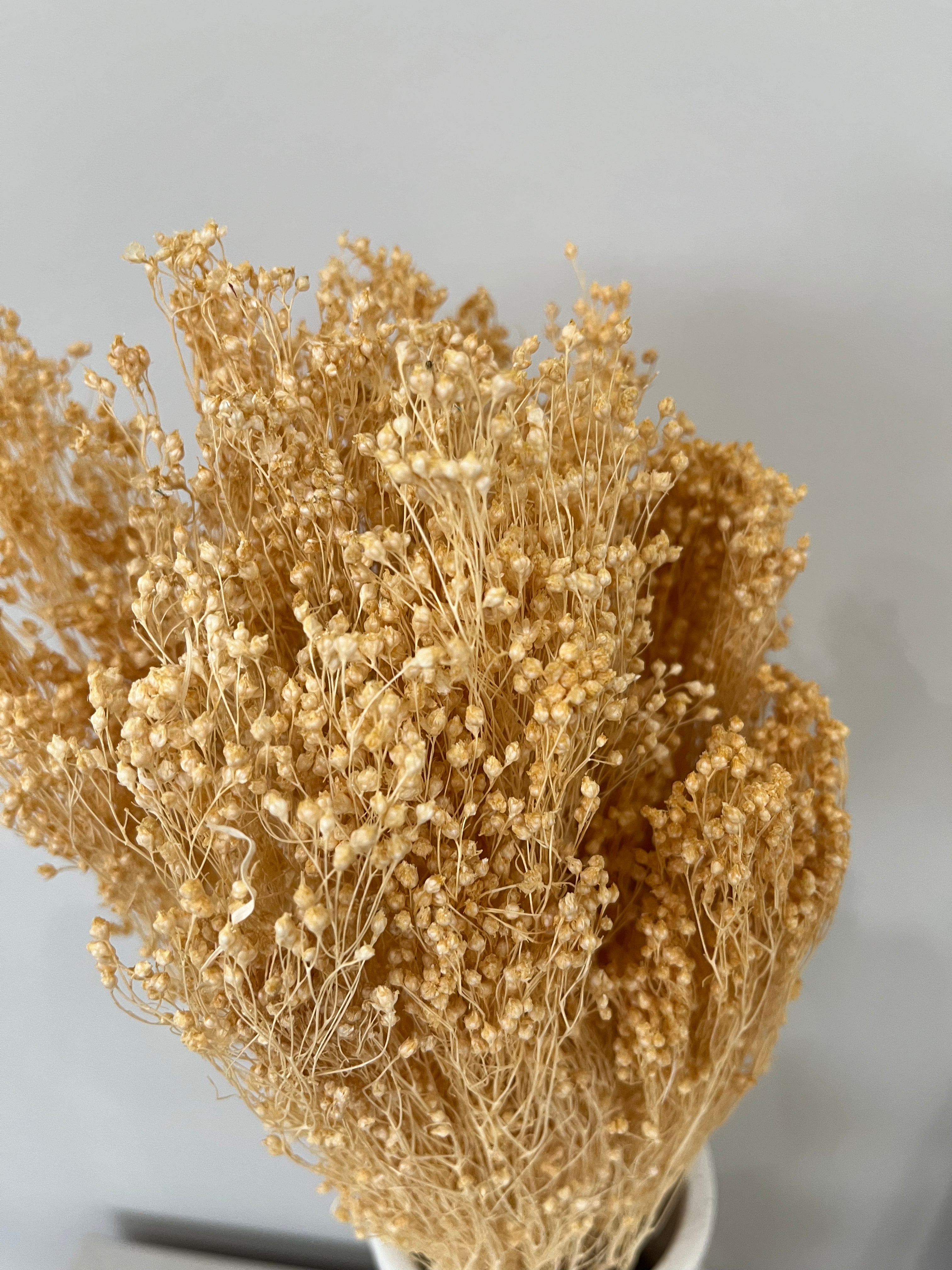 Broom Bloom - ein Bund - Lykke&You GmbH