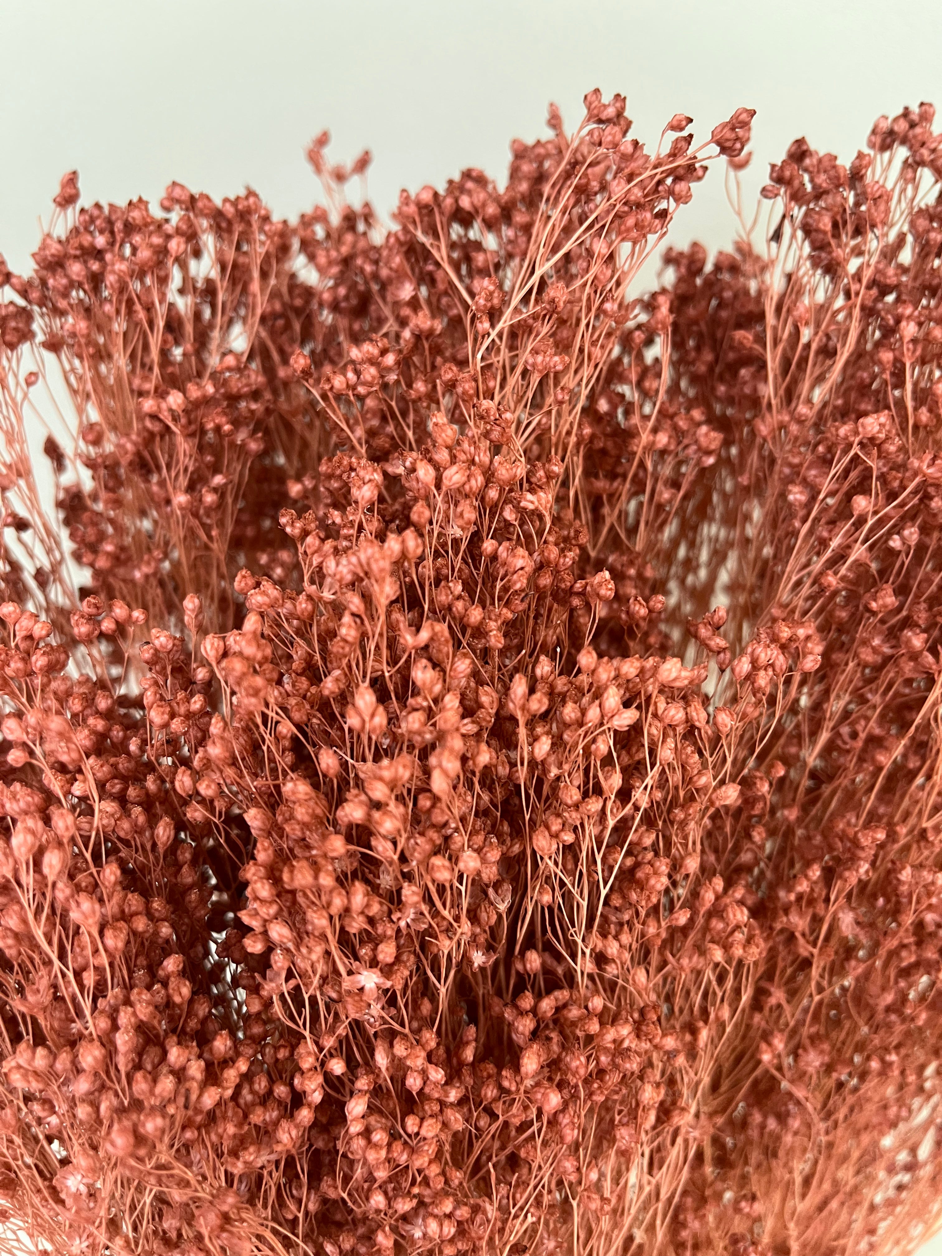 Broom Bloom - ein Bund - Lykke&You GmbH