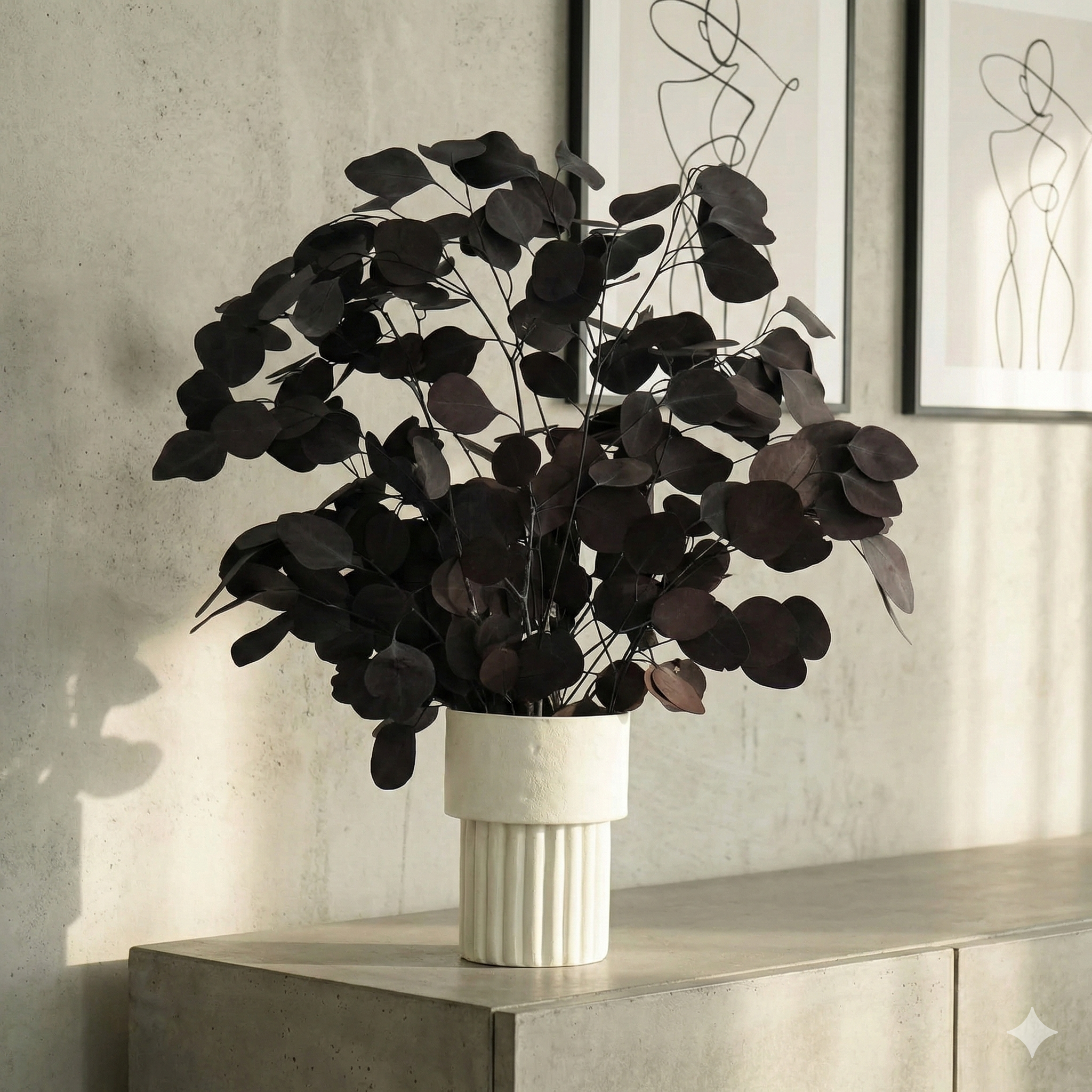 Eukalyptus Popolus - der Runde