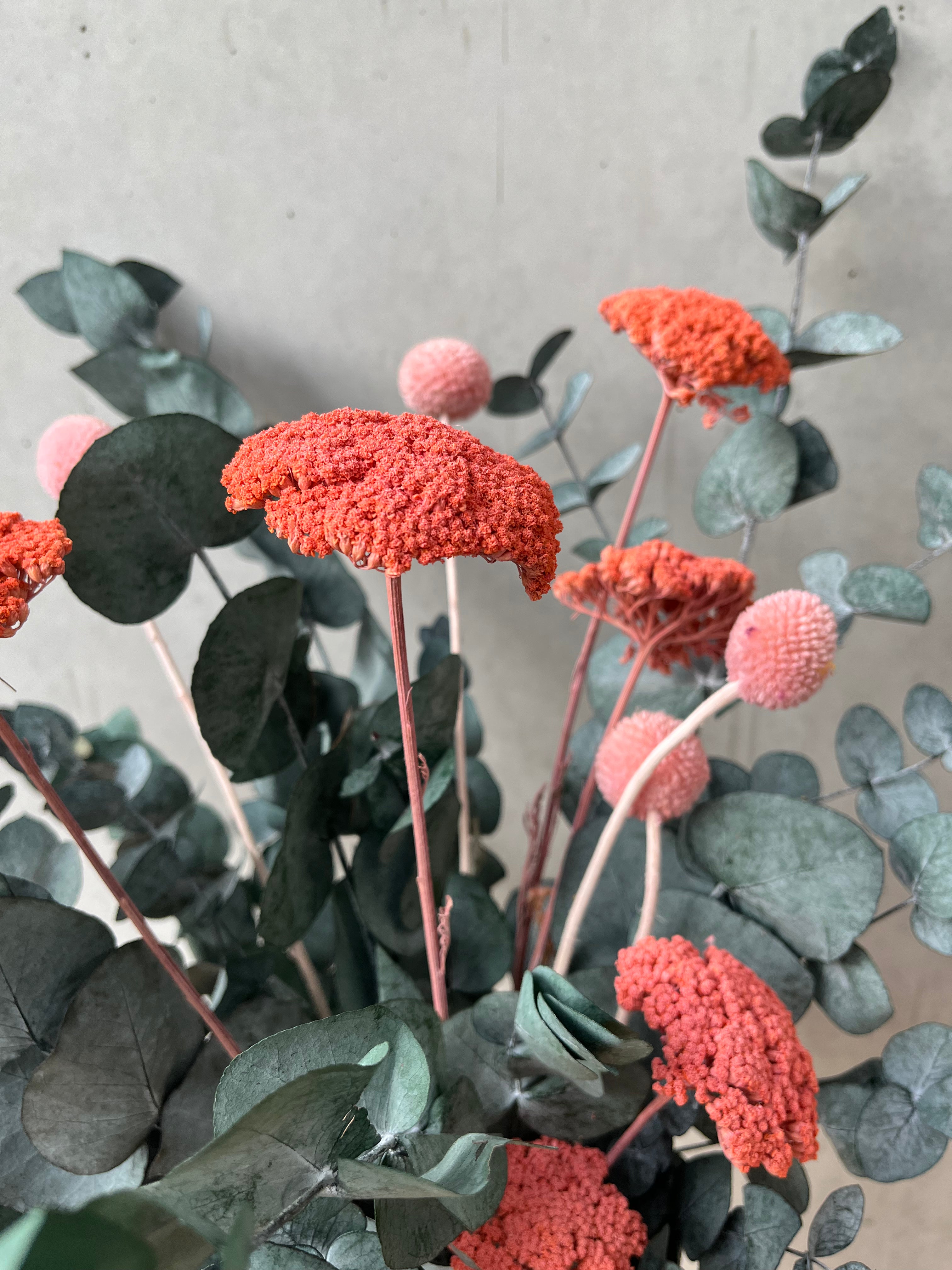 Pop of Color: Eukalyptus pink - Lykke&You GmbH