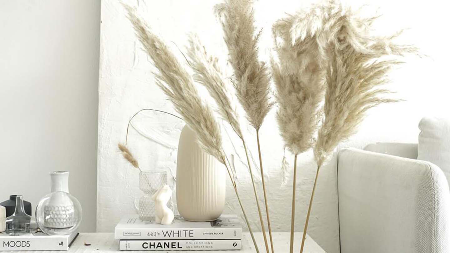 Pampasgras Giant weiß neben einem Sofa
