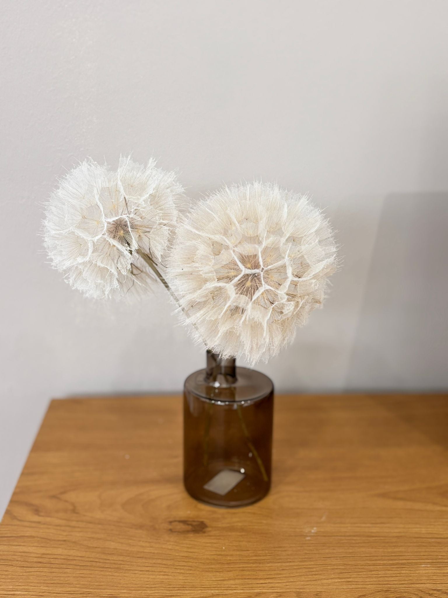 Pusteblume getrocknet einzeln - Outlet - Lykke&You GmbH