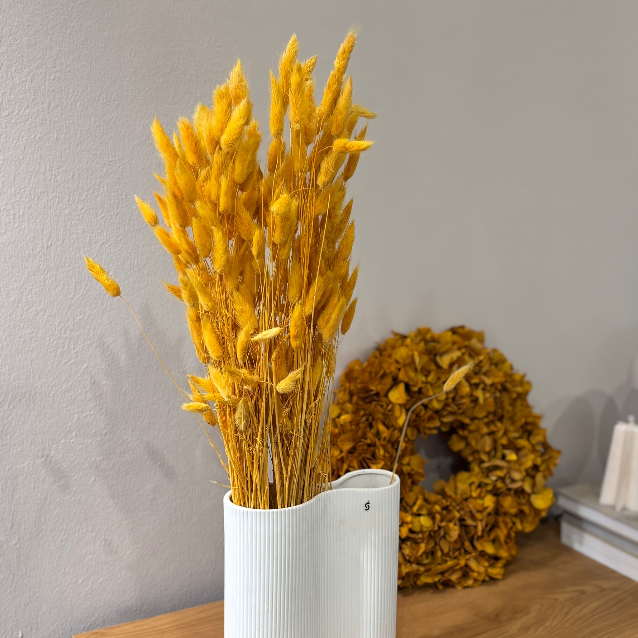 Lagurus | Samtgras | Hasenschwanz 60cm gelb - Outlet