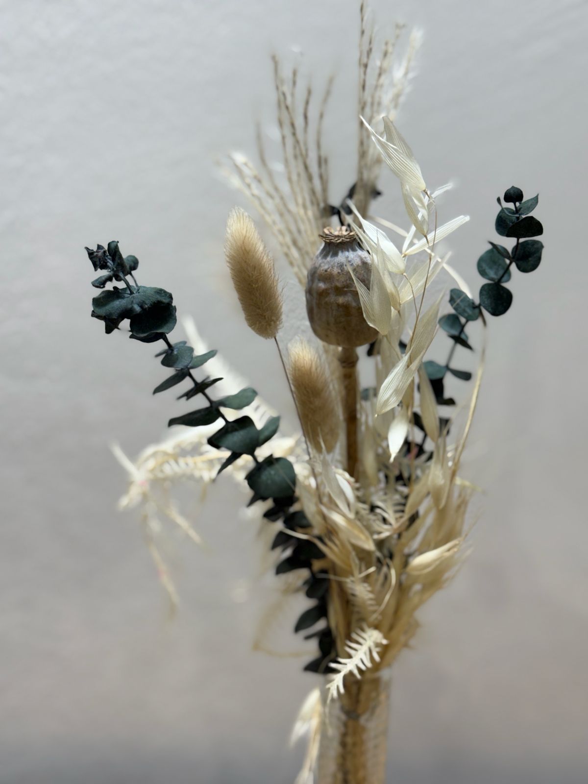 Trockenblumen Mini Strauß Eukalyptus Mohn - Outlet