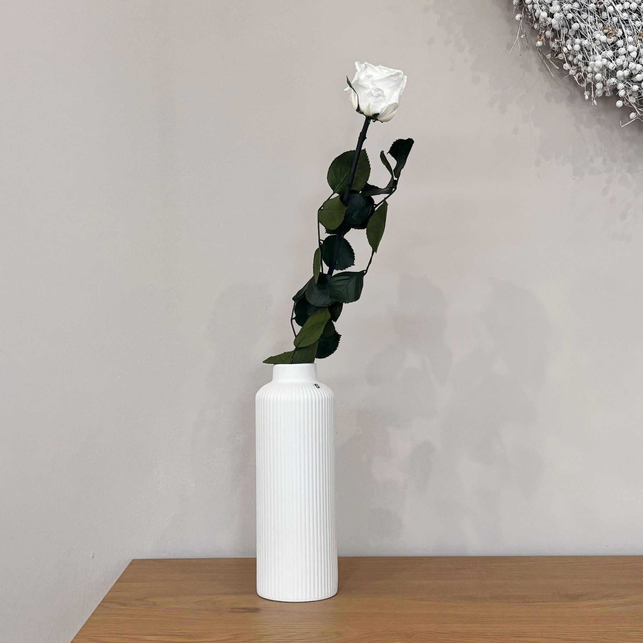 Konservierte/gefriergetrocknete, Rosen: Zeitlose Eleganz für die Ewigkeit