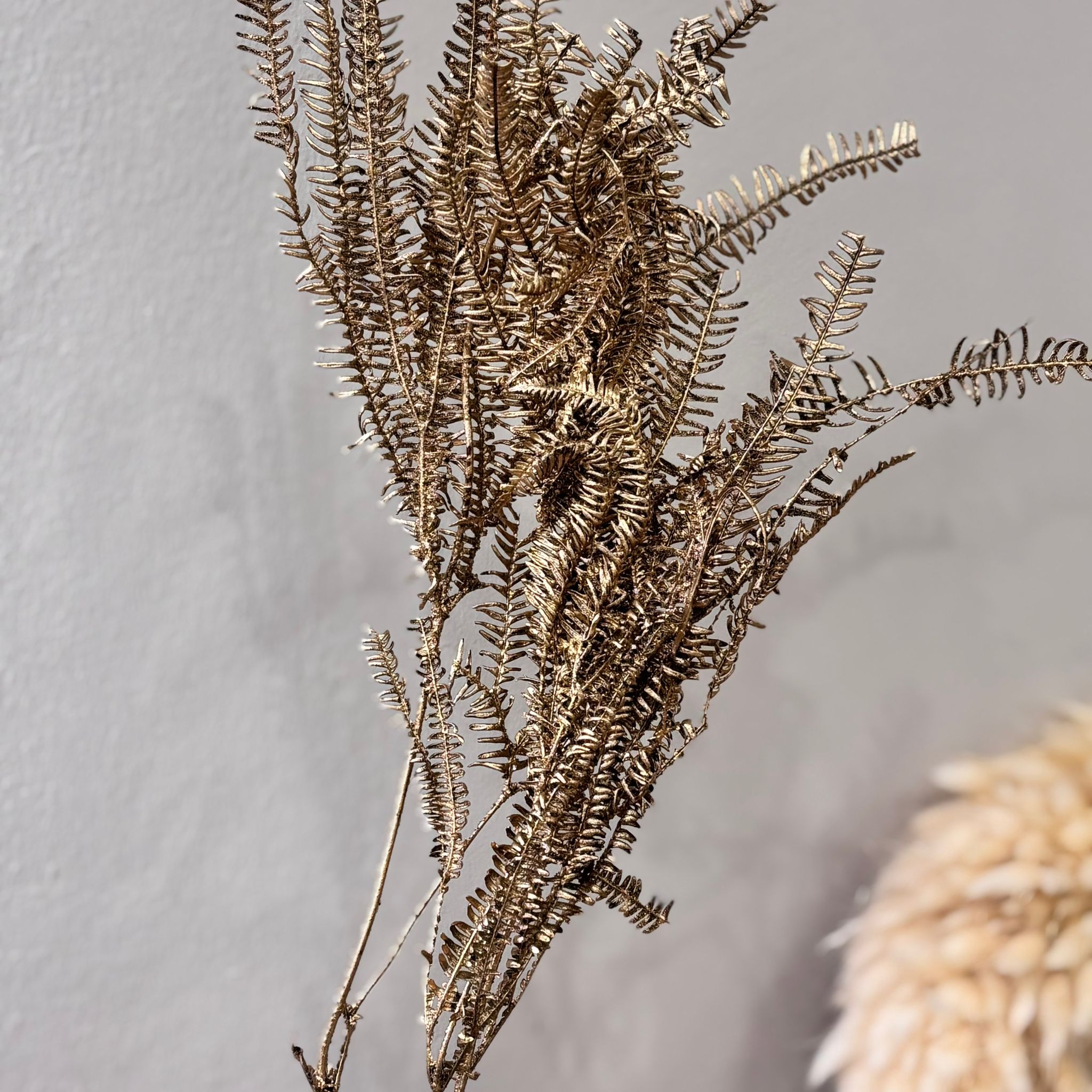 Konservierter Farn: Zauberhafte Momente für Dein Zuhause - Lykke&You GmbH