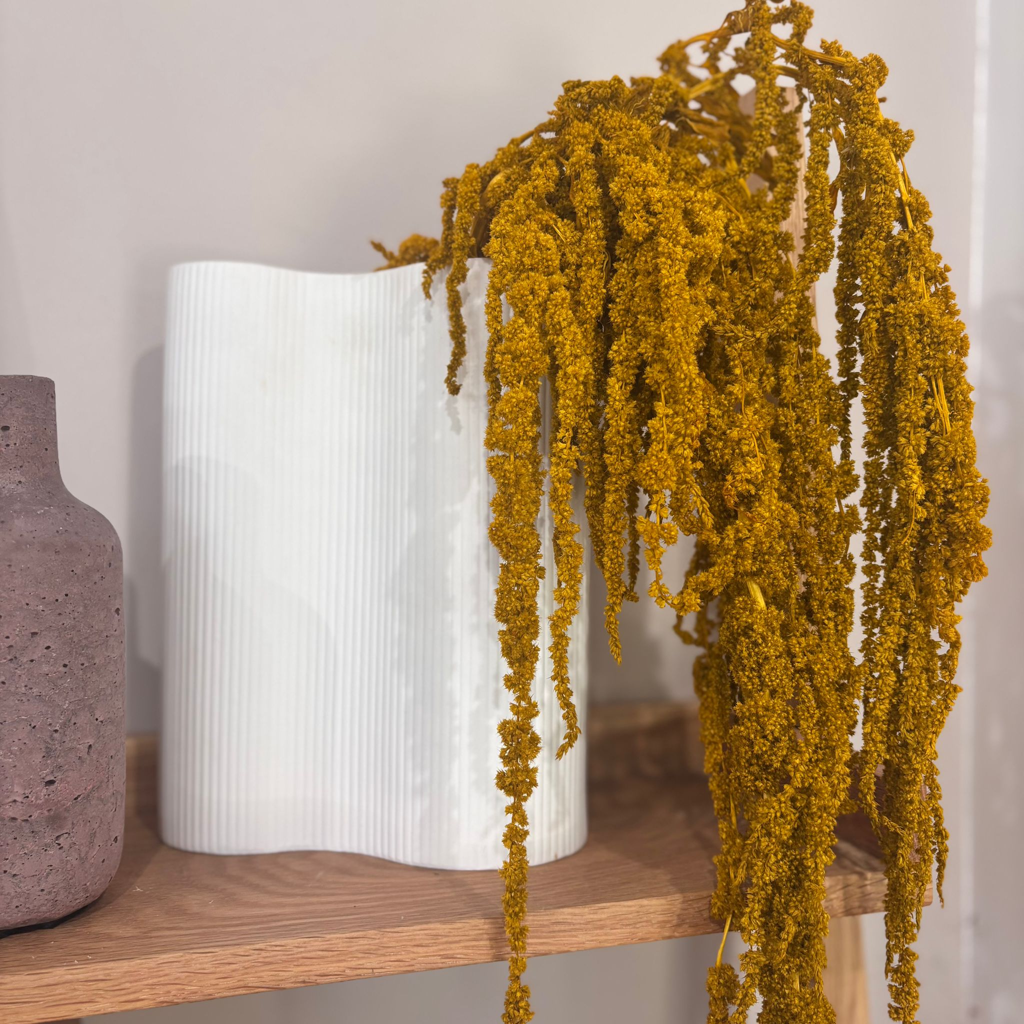 Amaranthus Stiele