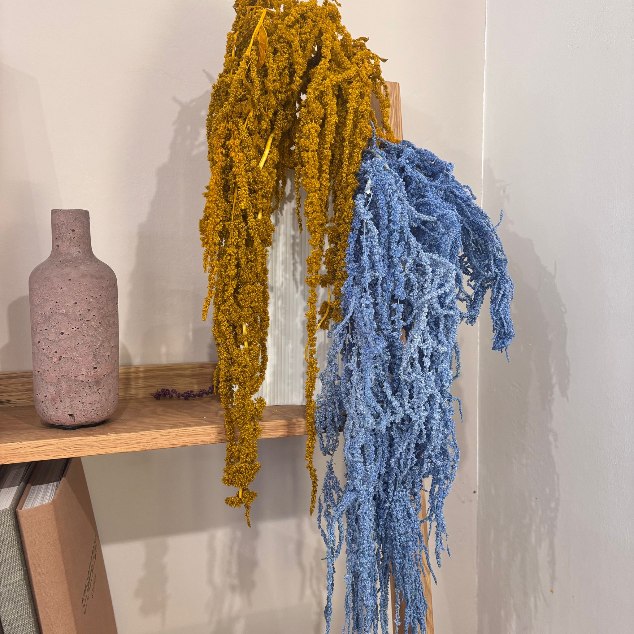 Amaranthus Stiele