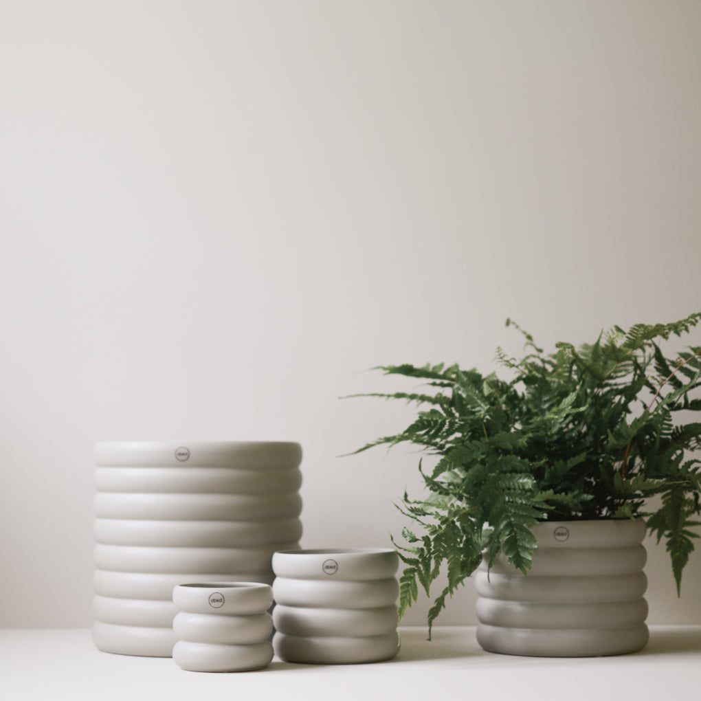 dbkd Mud Pot Small mit Ringen