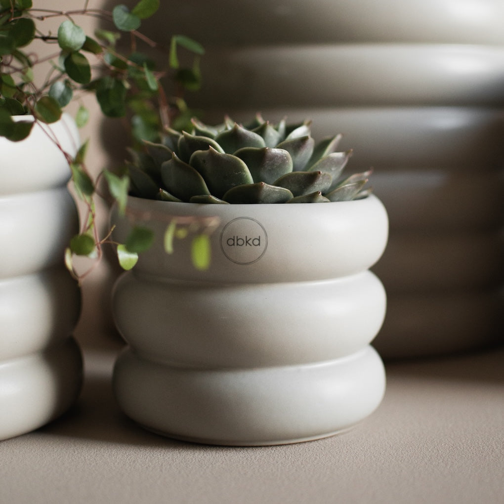 dbkd Mud Pot Small mit Ringen