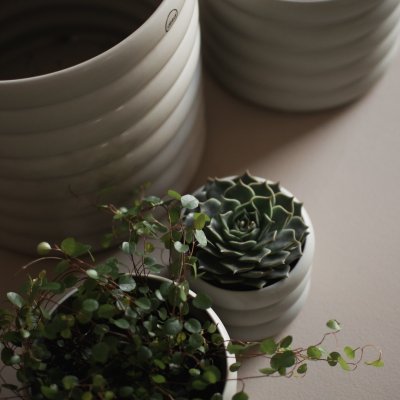 dbkd Mud Pot Small mit Ringen