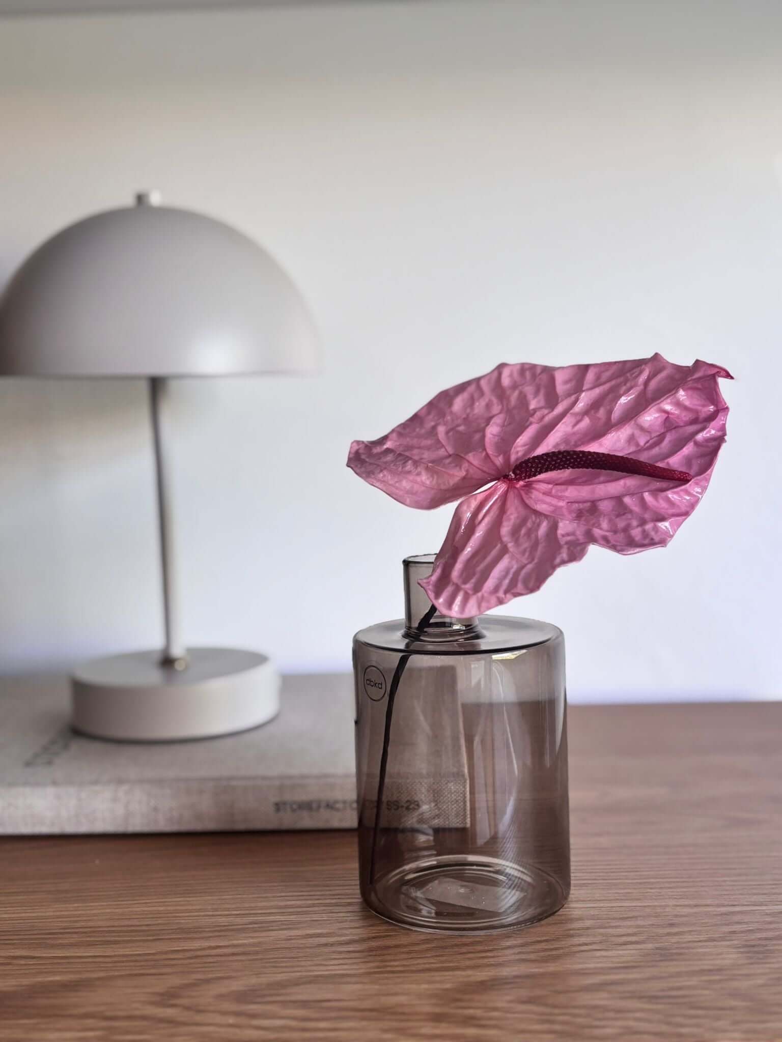 Konservierte pinke Anthurie in einer modernen Glasvase, stilvolle Akzente in einem eleganten Raum.