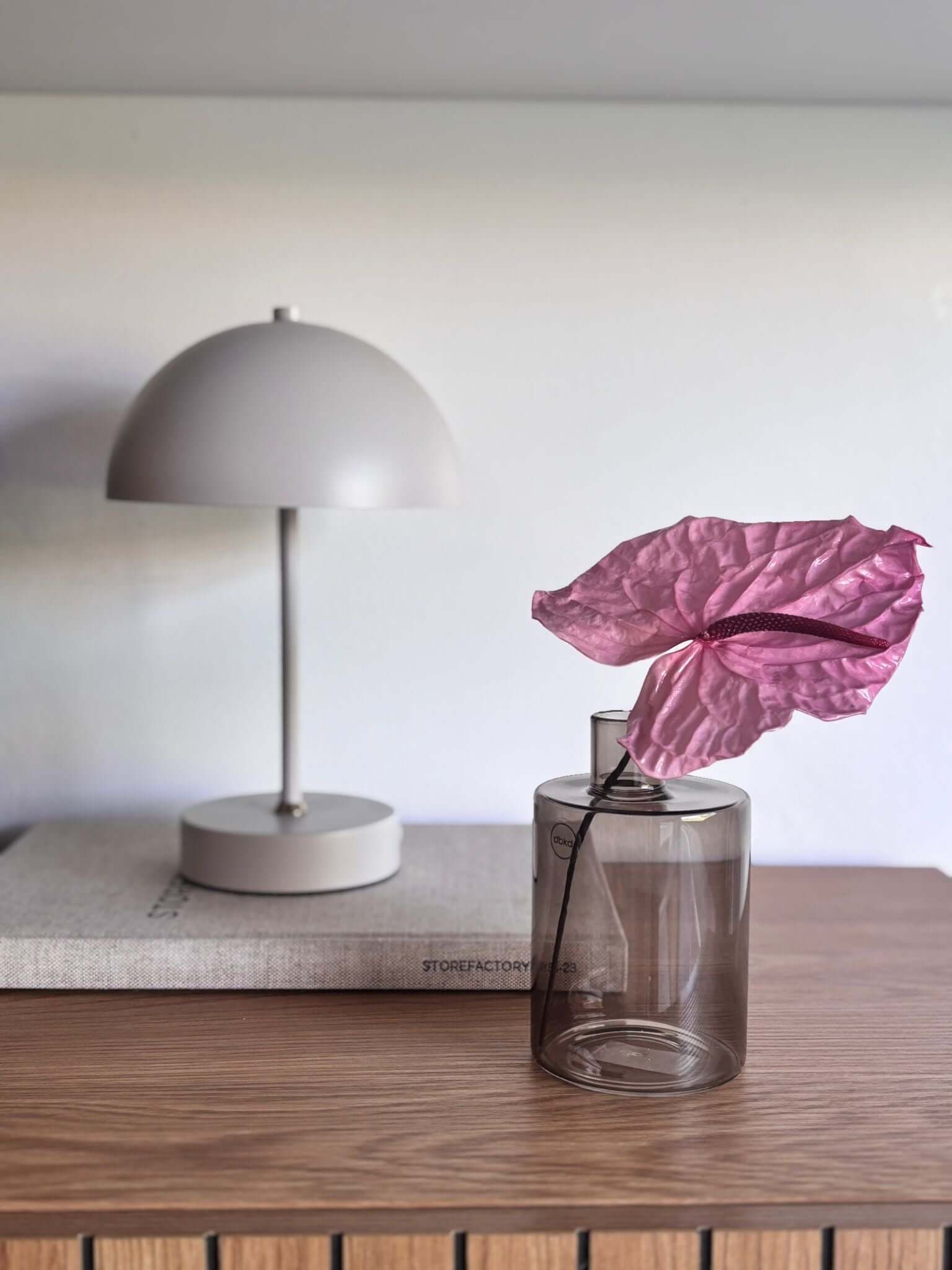 Konservierte pinke Anthurie in modernem Glasgefäß auf einem Tisch mit einer stylischen Lampe im Hintergrund.