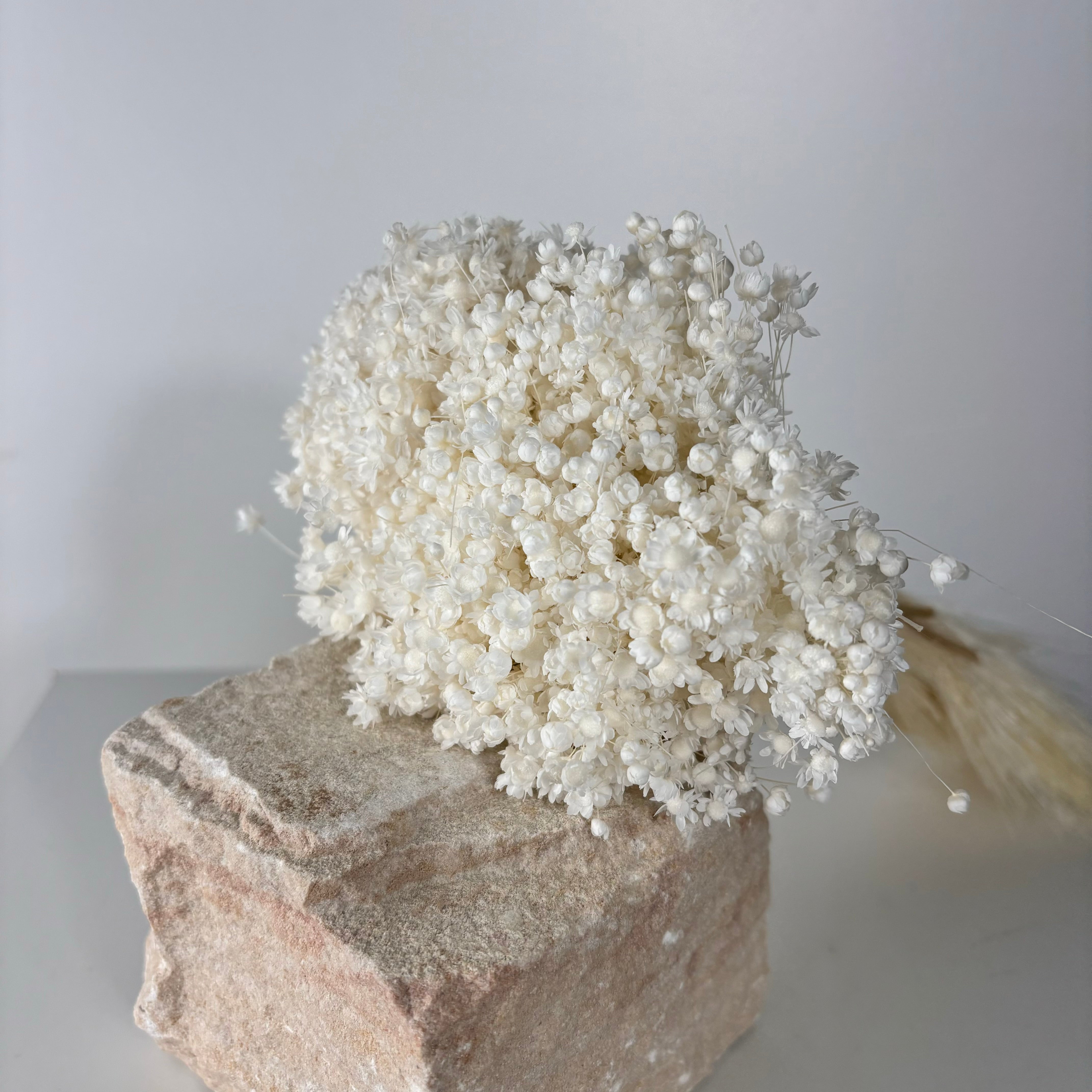 weiss; 1 großer Bund