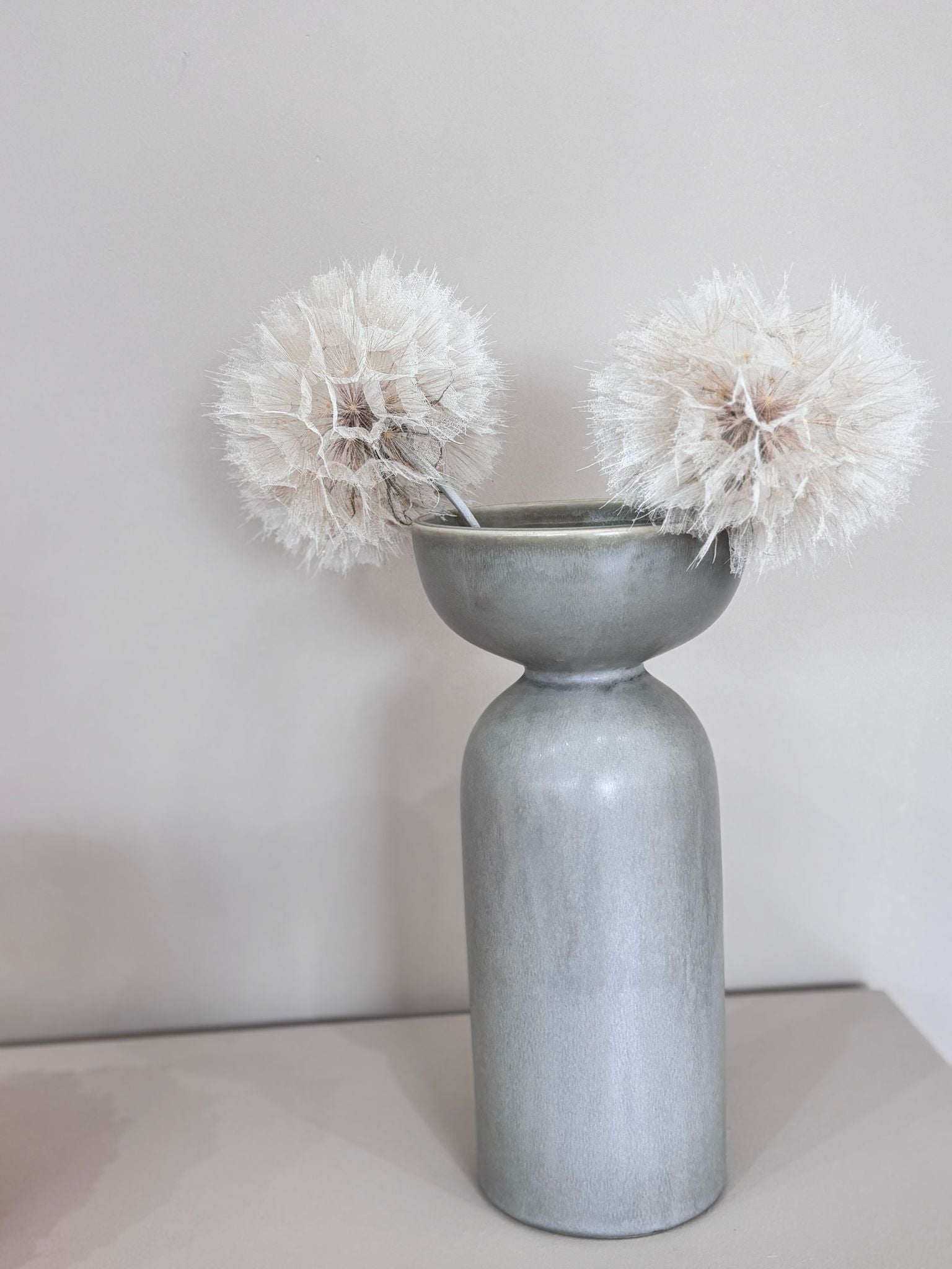 Pusteblume getrocknet und konserviert | XXL | weiß | 30-40 cm - Farbe: weiß