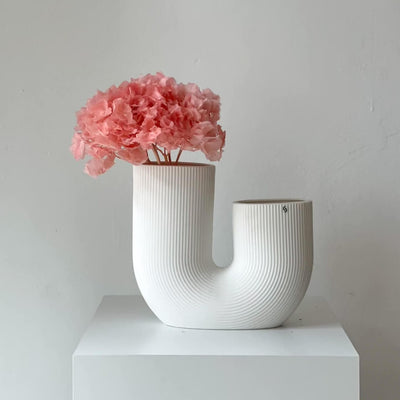 Hortensien konserviert | viele Farben | tolle Blüte | 30-40 cm - Farbe: rosa