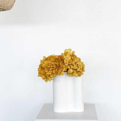 Hortensien konserviert | viele Farben | tolle Blüte | 30-40 cm - Farbe: gelb