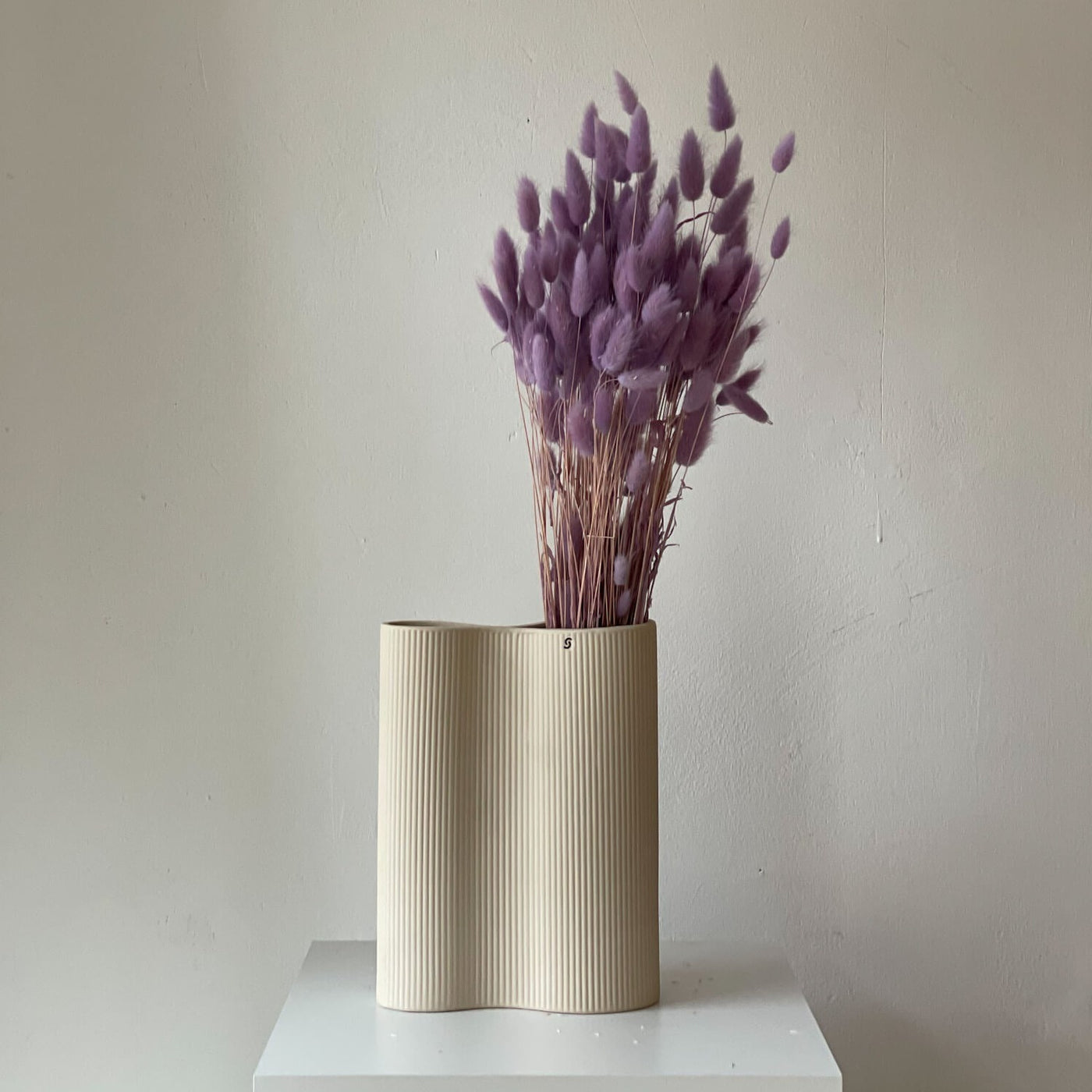 Lagurus (Samtgras) | 70 cm | viele Farben | für Trockenblumensträuße - Farbe: lila