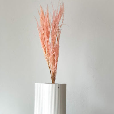 Konservierter Farn konserviert I 70 cm | weiss | rosa | pink - Größe: 3-4 Stiele - Farbe: pink