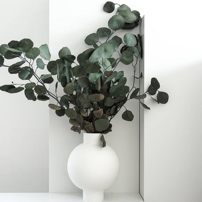 Eukalyptus Popolus | 60-75 cm | Grün, Blau oder Rot | elegant & modern - Farbe: gruen