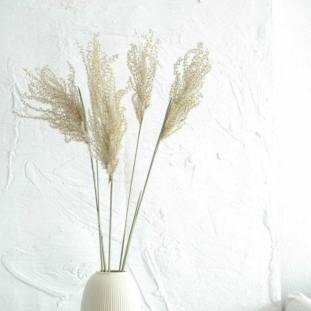 Getrocknetes Reedgras | extra fluffig | weiß, beige, natur, lila | 60 cm - Größe: groß, klein
