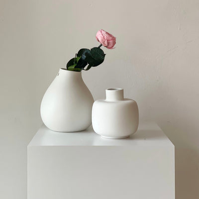 Konservierte englische Rose | 30 cm | weiss | rosa | edel | haltbar - Größe: 1x - Farbe: rosa