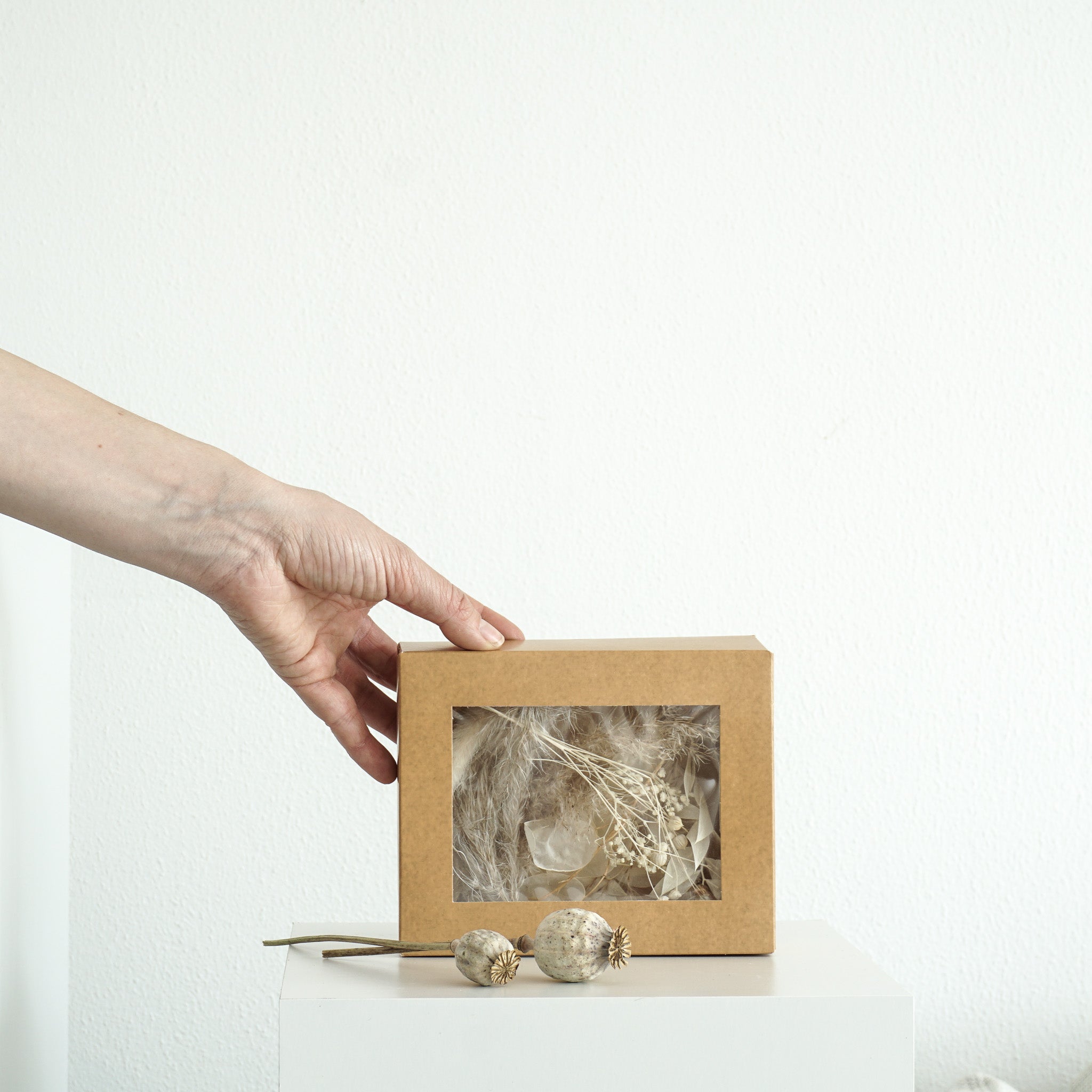 Trockenblumen Surprise Boxen für DIY Projekte | verschiedene Farben - DIY weiß