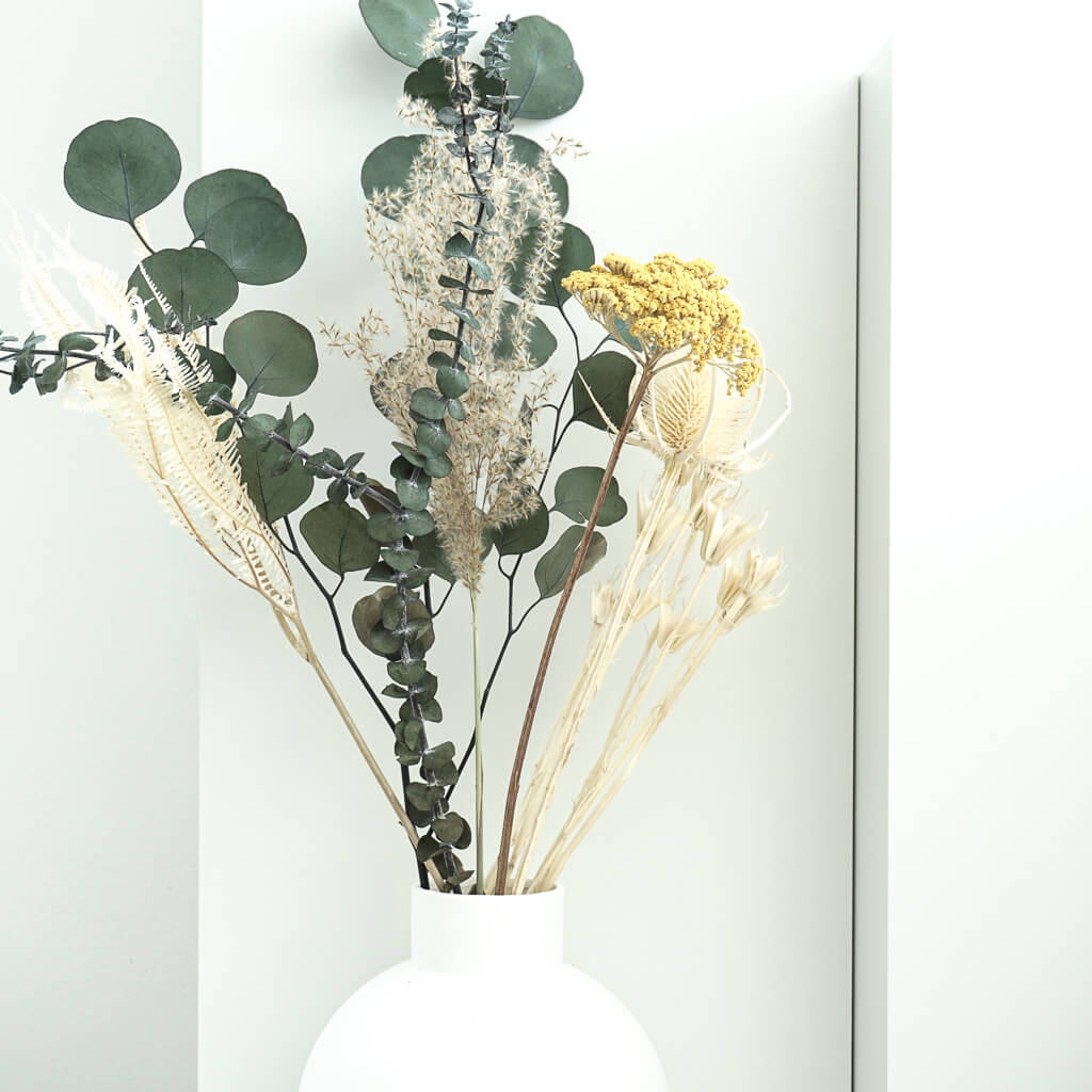 Eukalyptus Popolus | 60-75 cm elegant & modern - Farbe: gruen
