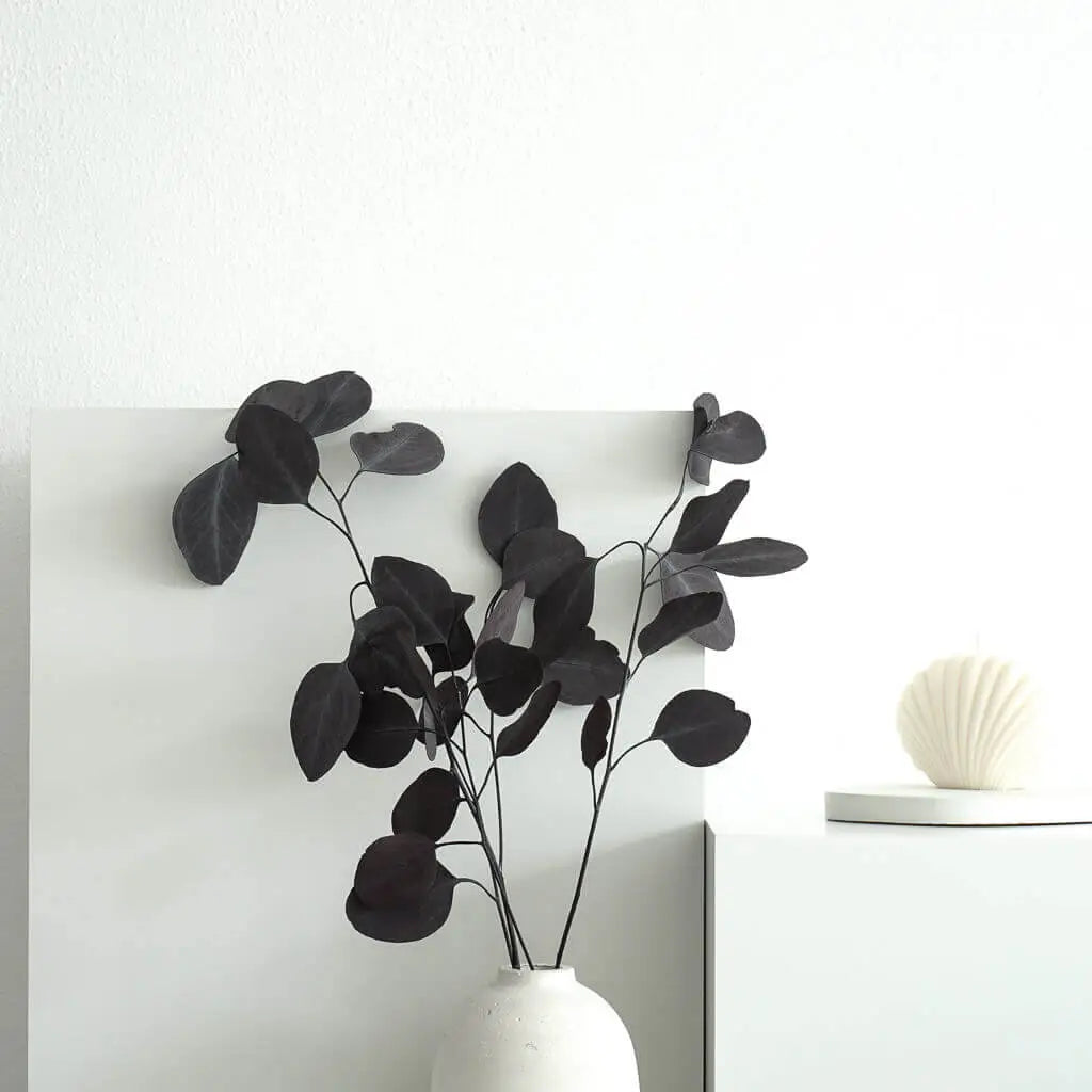 Eukalyptus Popolus | 60-75 cm | elegant & modern - Farbe: rot