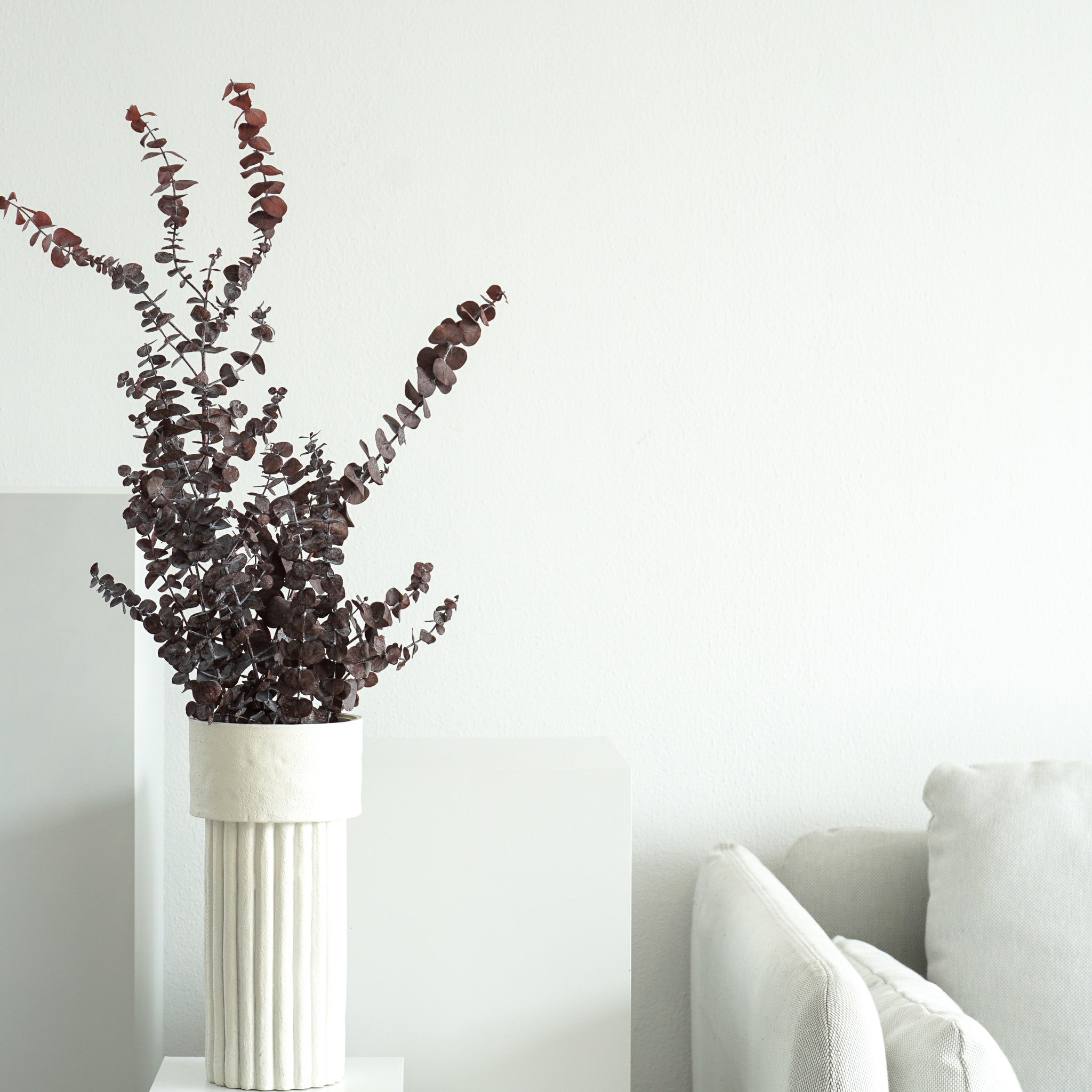 Eukalyptus Baby konserviert I 70 cm I- Größe: Klein - Farbe: rot