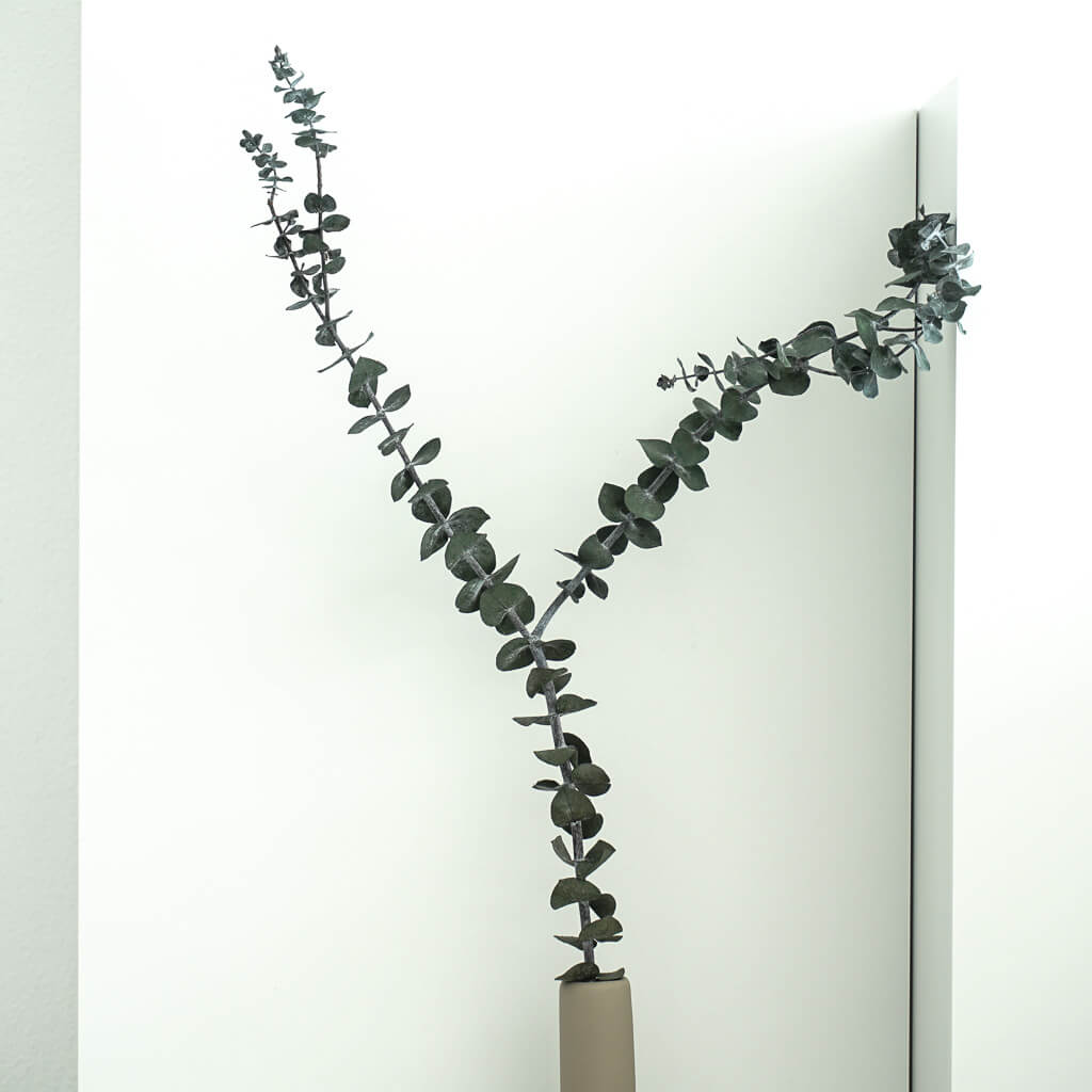 Eukalyptus Baby konserviert I 70 cm I - Größe: 1 Stiel - Farbe: gruen