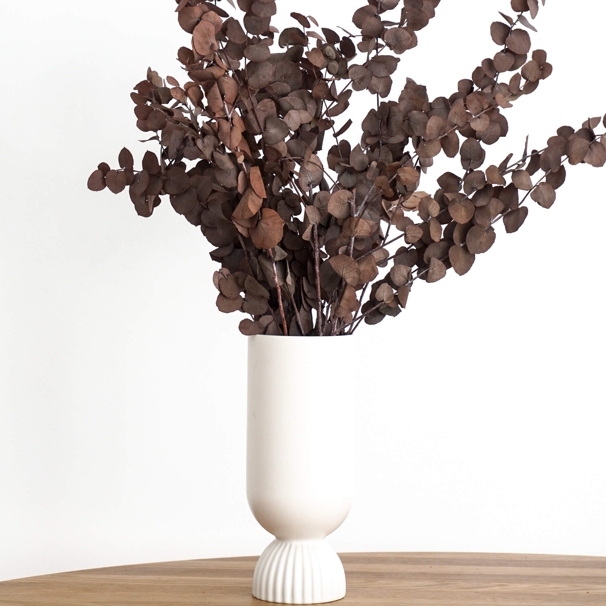 Eukalyptus Stuartiana | 60-75 cm | kleine Blätter | Farbe: rot