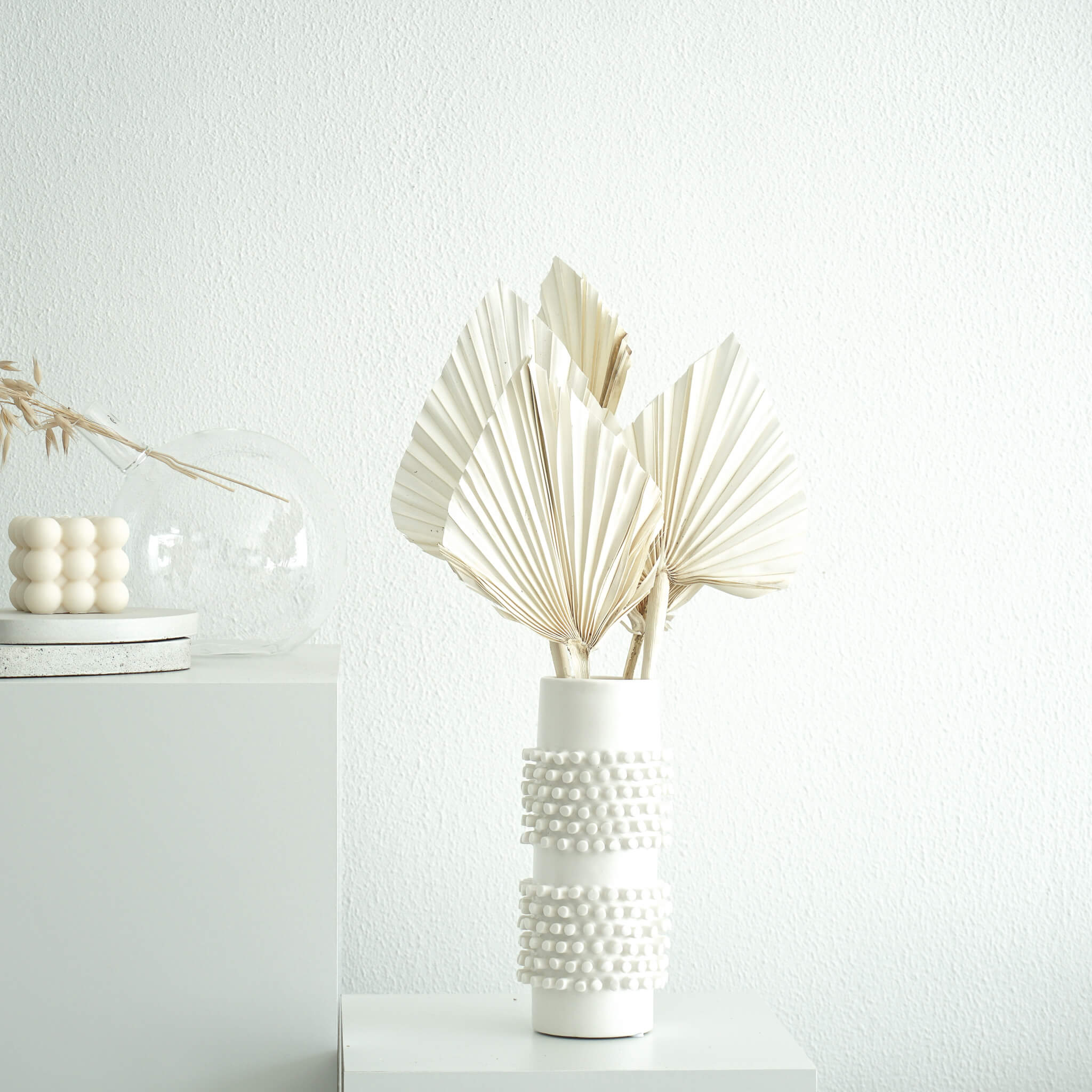 Getrocknete Palmspeere | 40cm I | Trendprodukt - Farbe: weiß