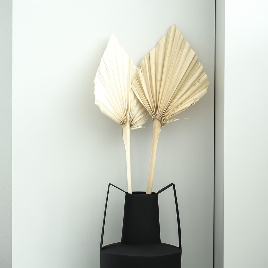 Getrocknete Palmspeere | 40cm I | Trendprodukt - Farbe: natur, weiß