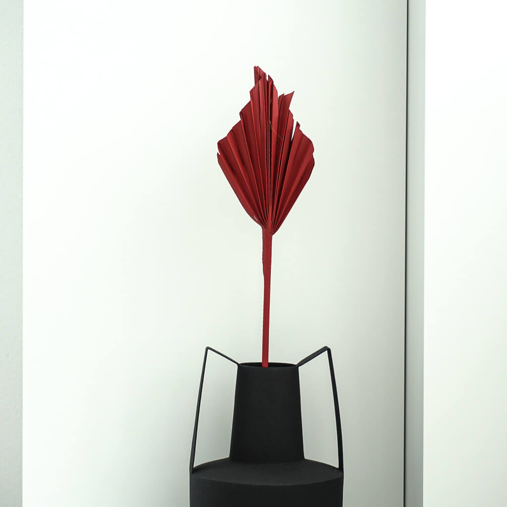 Getrocknete Palmspeere | 40cm | Trendprodukt - Farbe: rot 1x