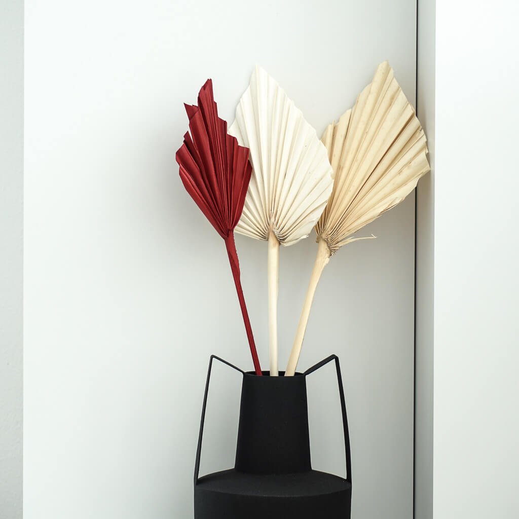 Getrocknete Palmspeere | 40cm | Trendprodukt - Farbe: natur, weiß, rot