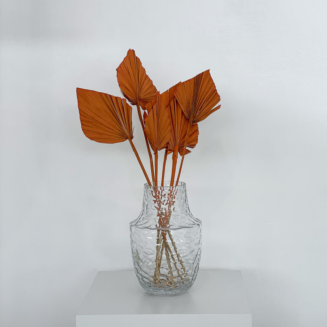 Getrocknete Palmspeere | 40cm| Trendprodukt - orange 3x