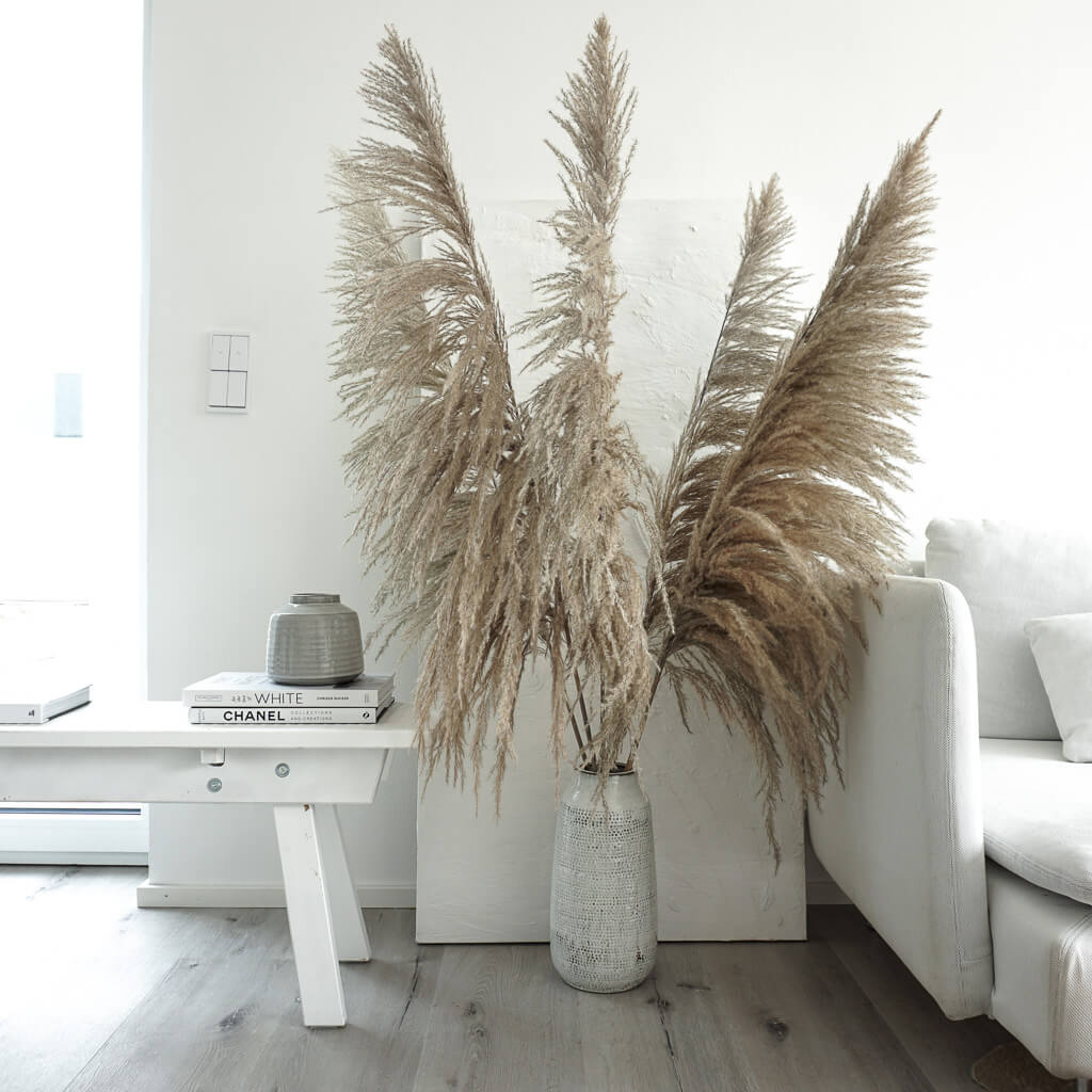 Pampasgras XL im Retrolook | ca 120 cm | braun | natur (beige) - Farbe: beige