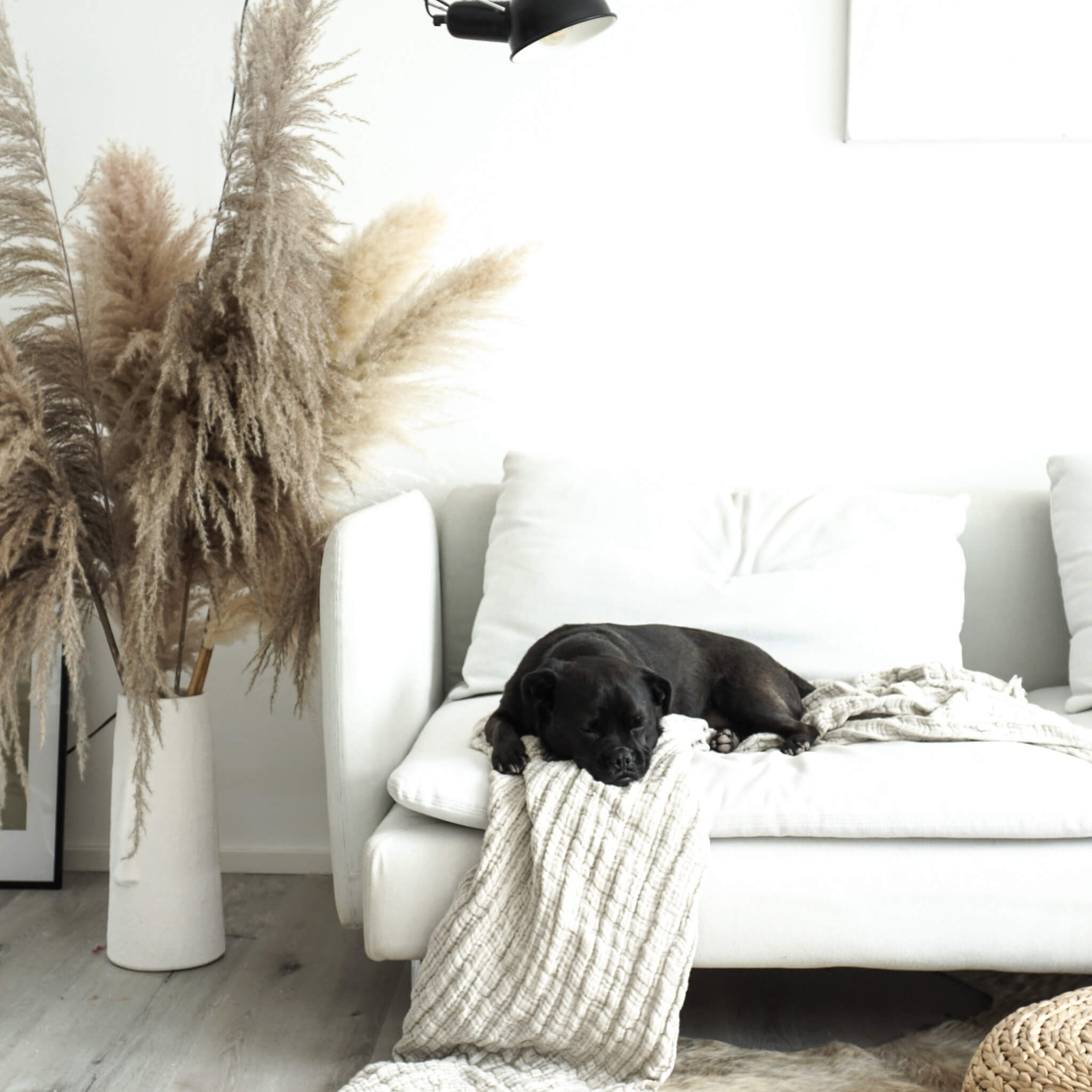 Pampasgras XL im Retrolook | ca 120 cm | beige | natur (beige) - Farbe: beige