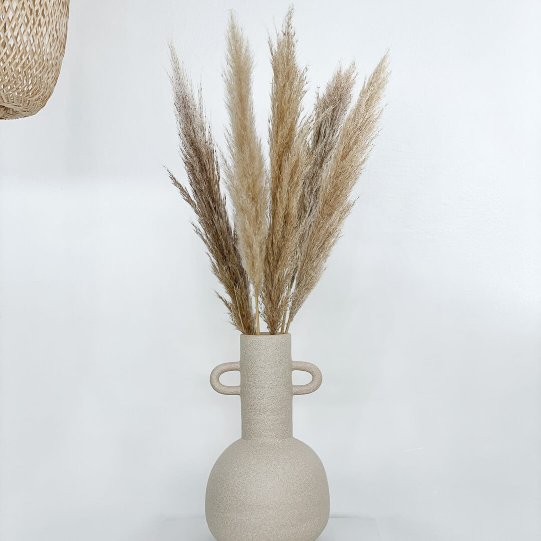 Pampasgras beige getrocknet für Tischvase
