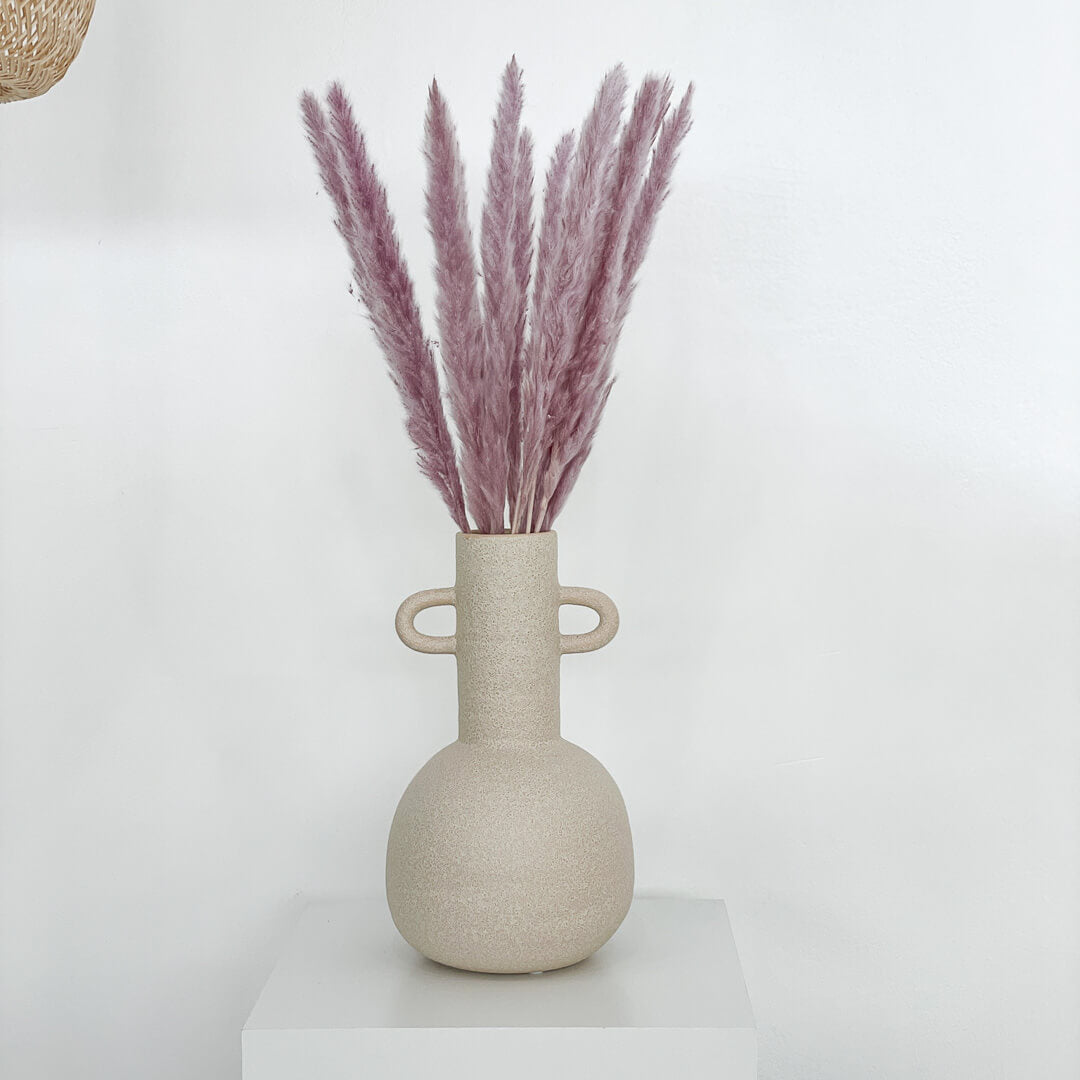Pampasgras Mini I 70 cm I Gut für Tischvasen | - Farbe: lila