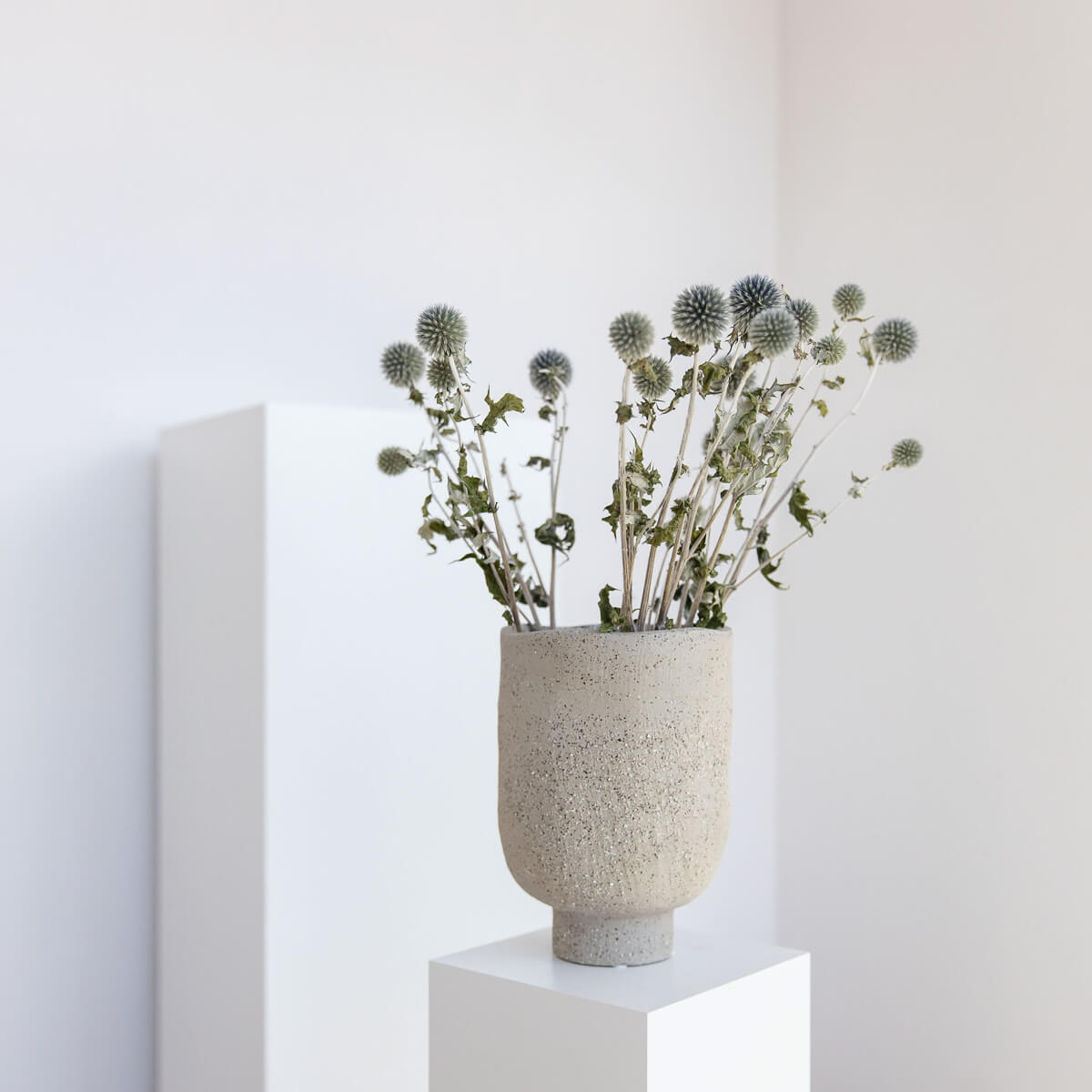 Kugeldistel - Lykke&You GmbH