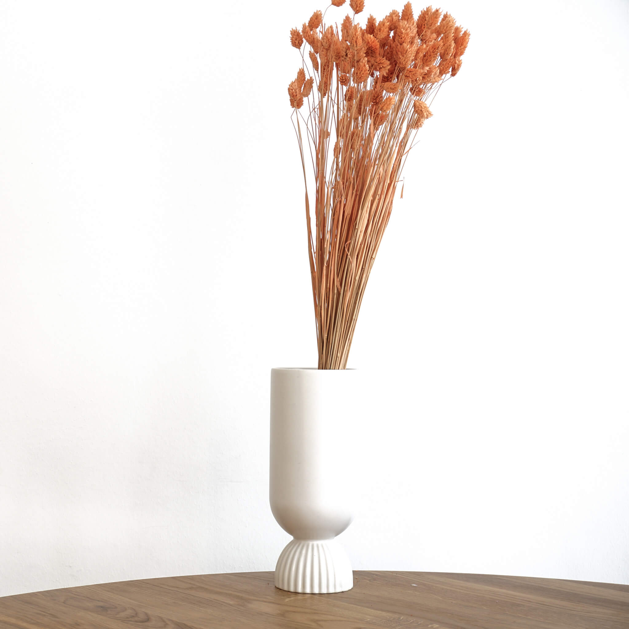 Trockenblume Phalaris I Kanariengras | terracotta | ca. 60 cm - Größe: 10 Stiele