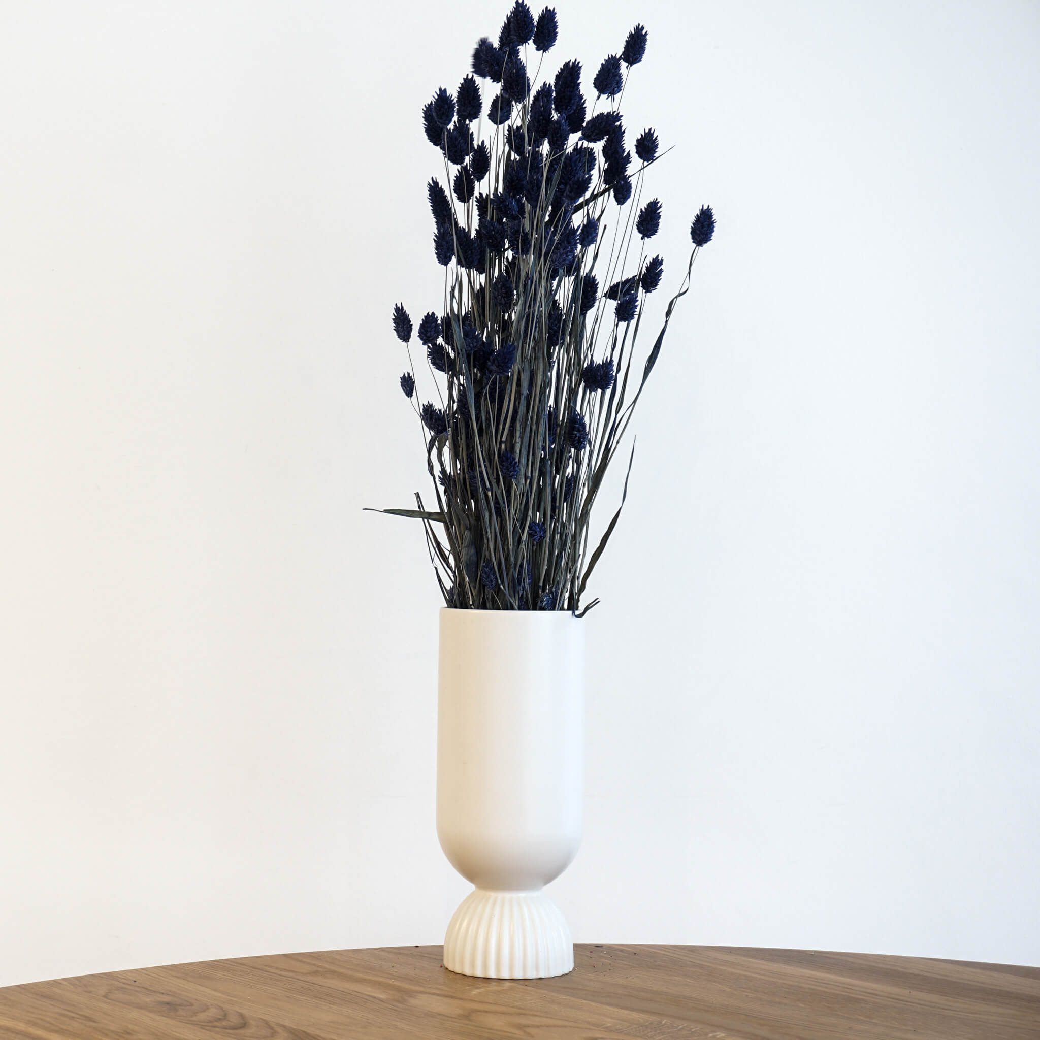 Trockenblume Phalaris I Kanariengras | schwarz | ca. 60 cm - Größe: 10 Stiele blau