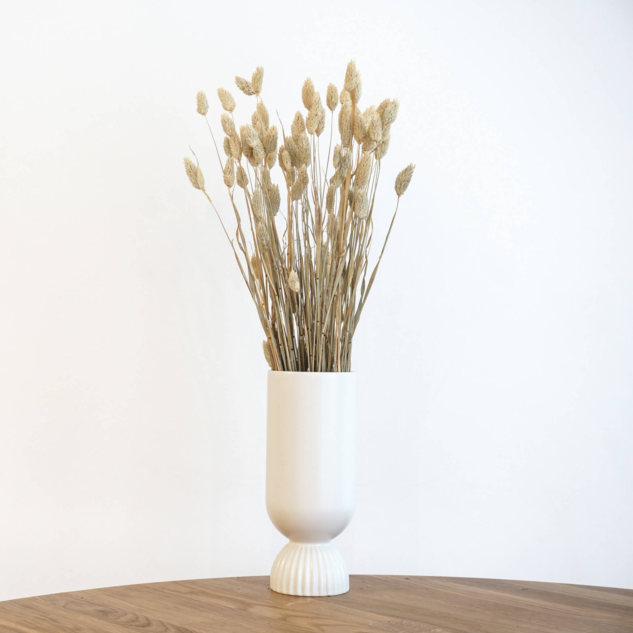 Trockenblume Phalaris I Kanariengras | weiss | ca. 60 cm - Größe: 10 Stiele natur