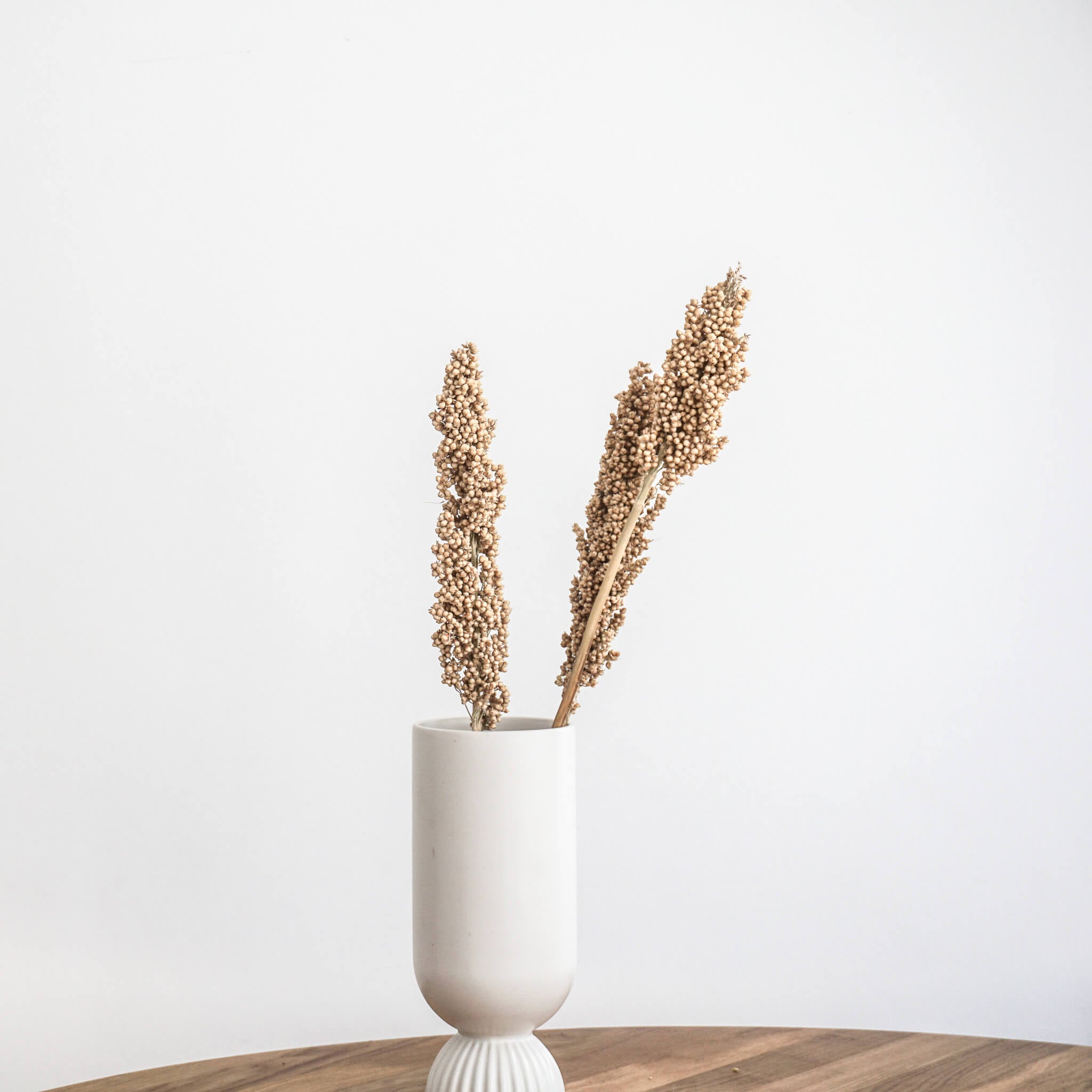 Indian Corn | 60-70 cm | natur | beige - Farbe: natur