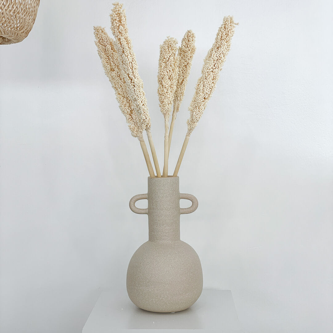 Indian Corn | 60-70 cm | natur | beige - Farbe: weiß